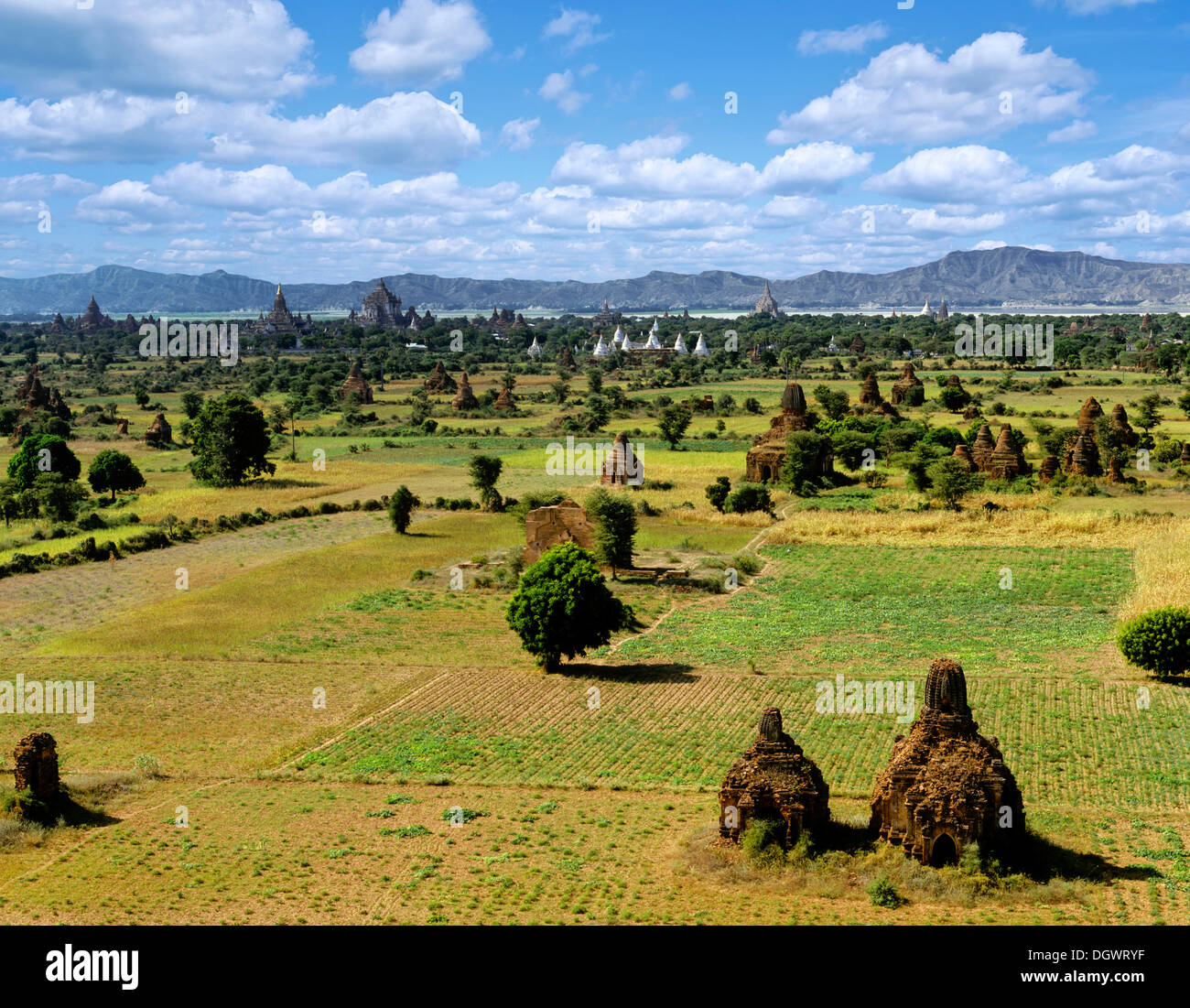Field of ruins of Buddhist pagodas, Ebene von Pagan, Bagan, Mandalay Division, Myanmar, Burma Stock Photo
