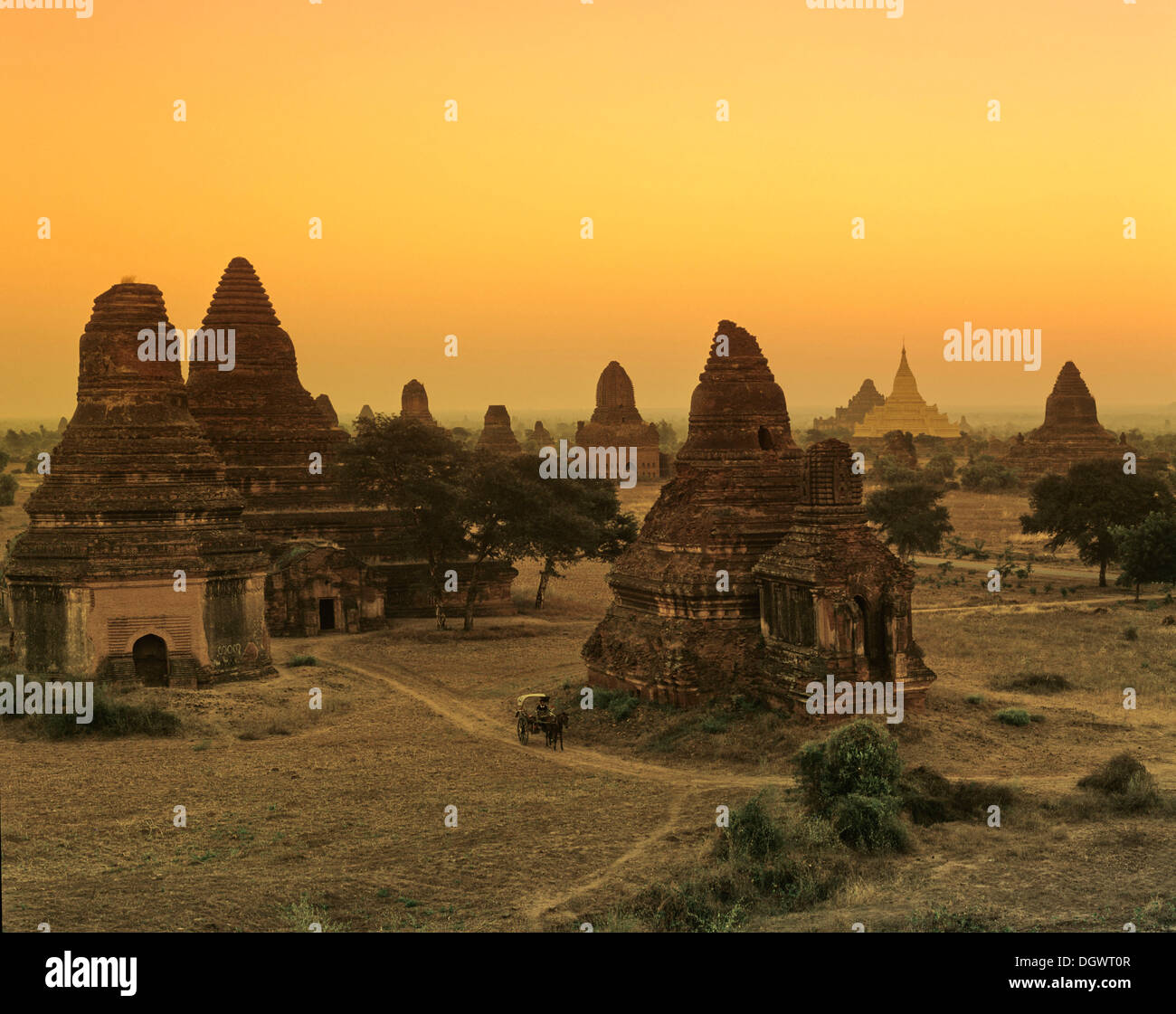 Field with ruins of Buddhist pagodas and temples, Ebene von Pagan, Bagan, Mandalay Division, Myanmar, Burma Stock Photo