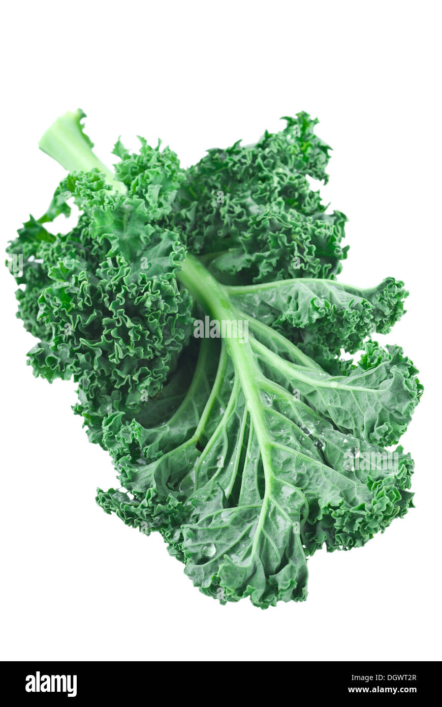 Fresh green kale on white background. Stock Photo