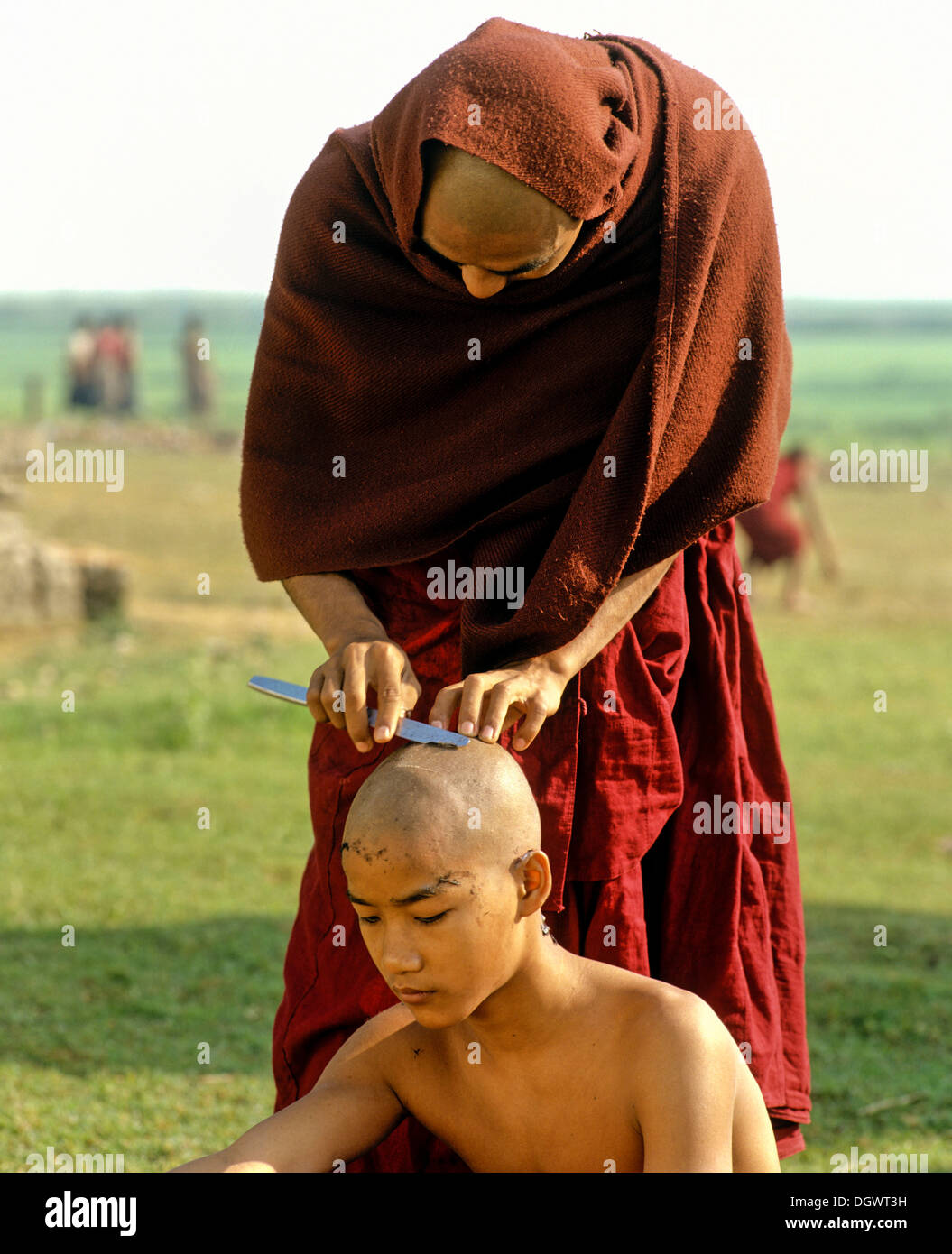 Novice having his hair shaved, Amarapura, Mandalay Division, Myanmar, Burma Stock Photo