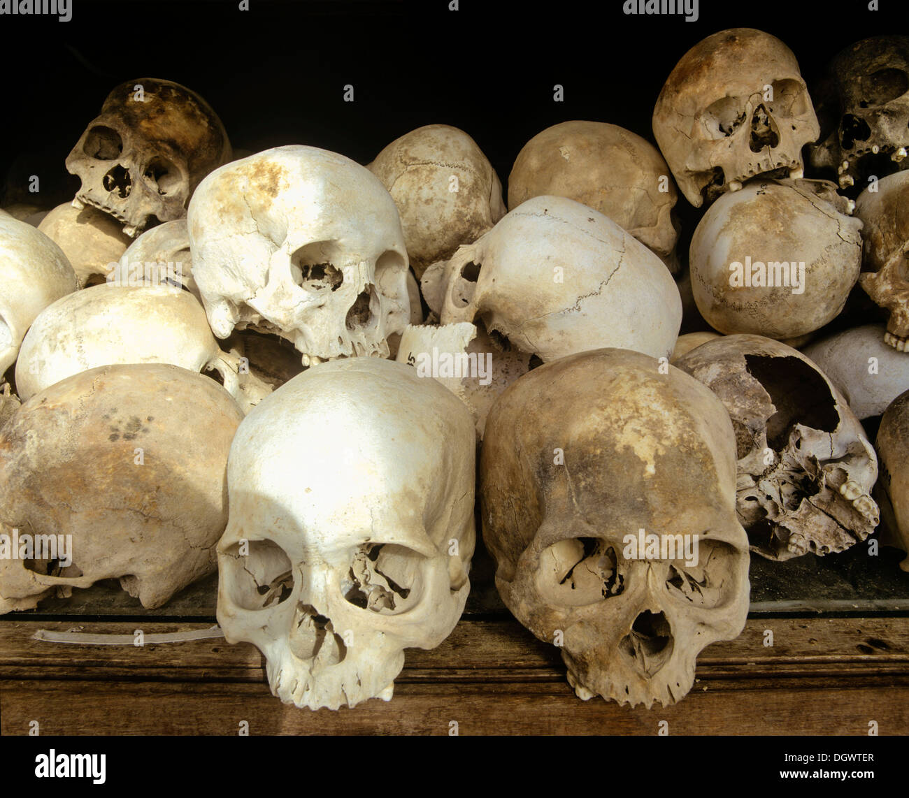 Самый древний череп человека. Черепа в Мексике раскопки. Человеческий череп в посылке.