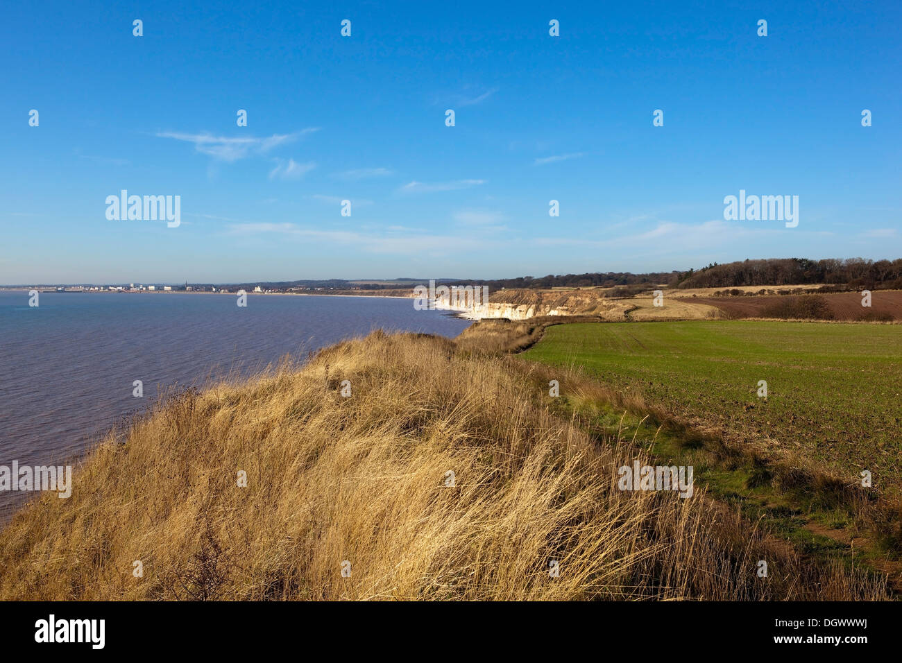 A view South across the bay towards Bridlington from the cliff top path between Danes dyke and Flamborough Stock Photo