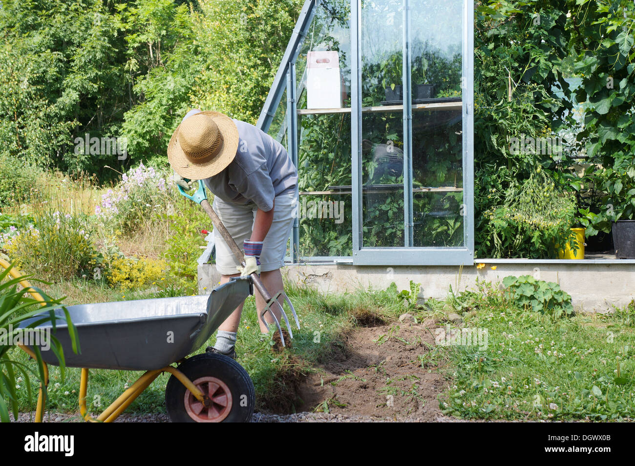 Woman wheelbarrow summer garden hi-res stock photography and images - Alamy