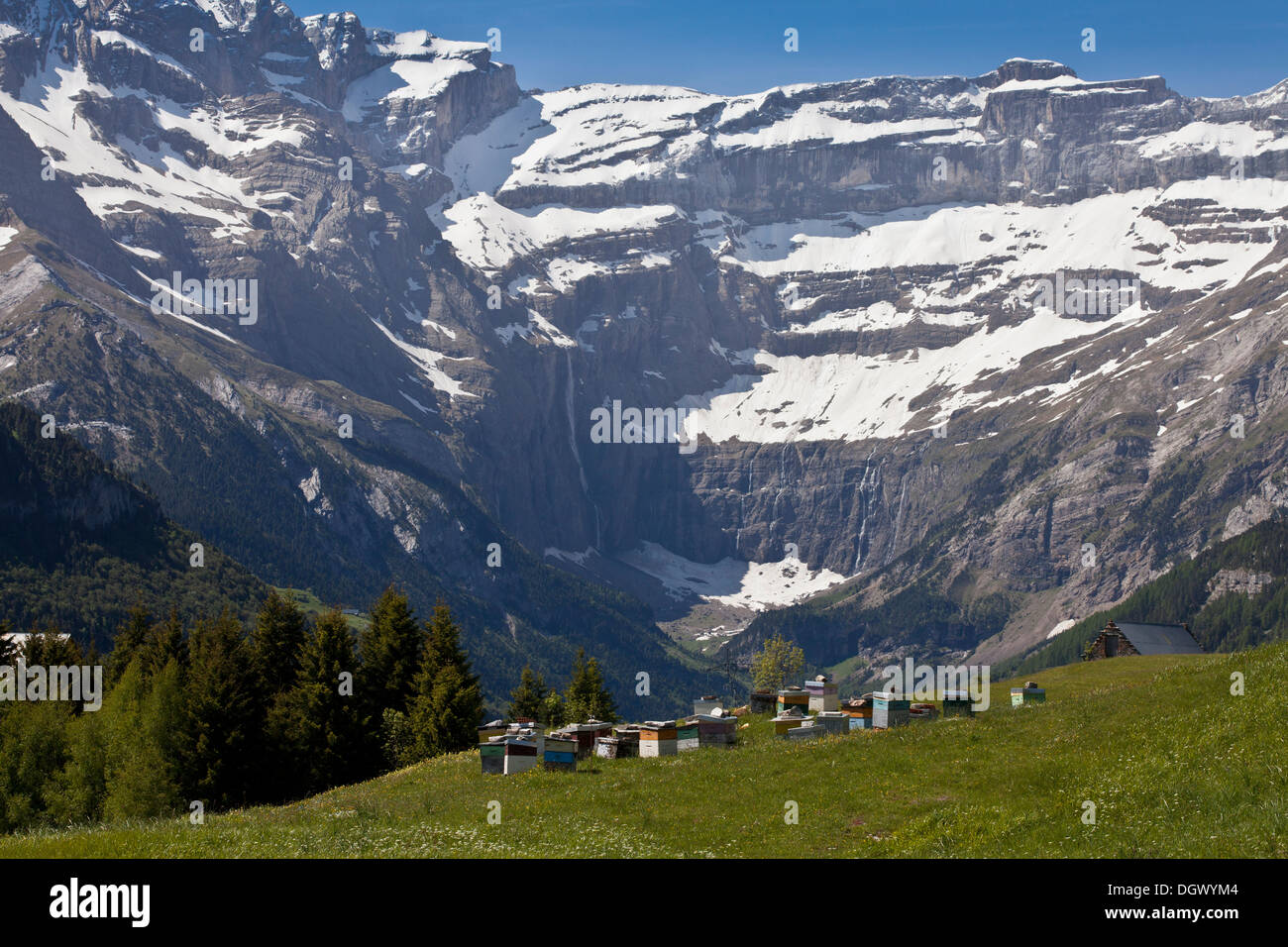 Bee-hives in hay meadows looking across to the Cirque de Gavarnie, french Pyrenees. Stock Photo