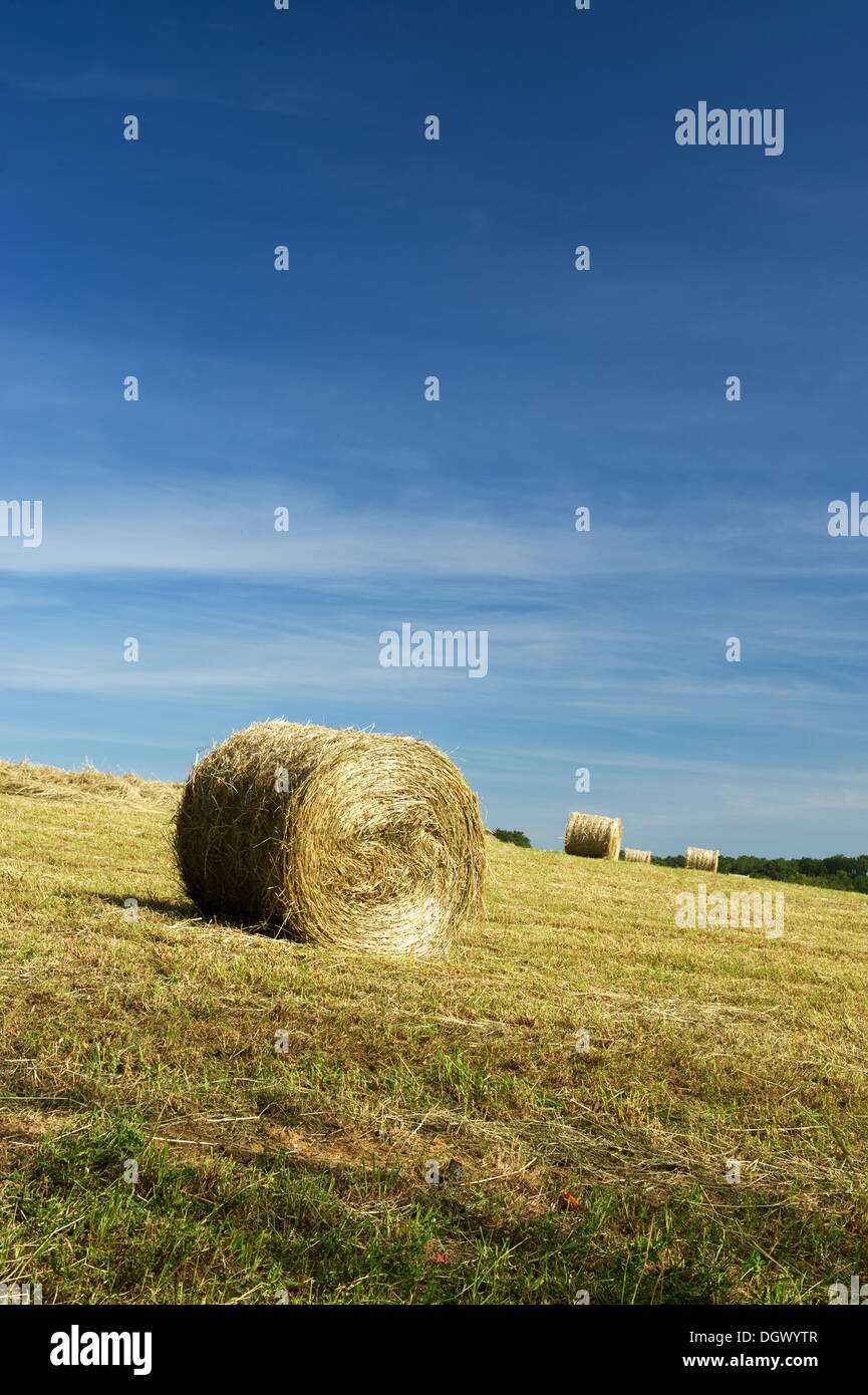 Rolls hay in agriculture landscape Stock Photo - Alamy