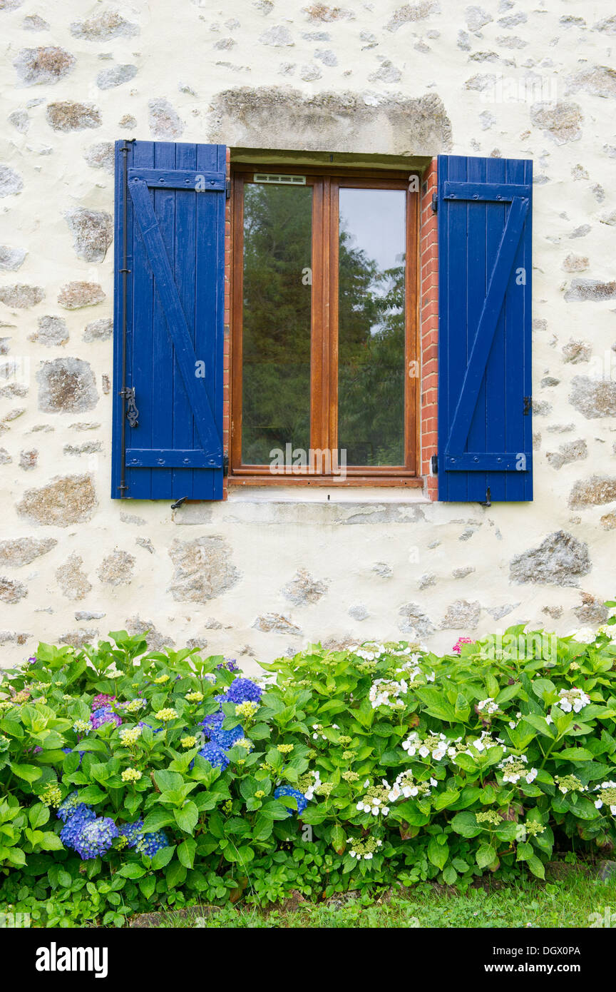 french-window-with-blue-shutters-and-flower-garden-outdoor-stock-photo