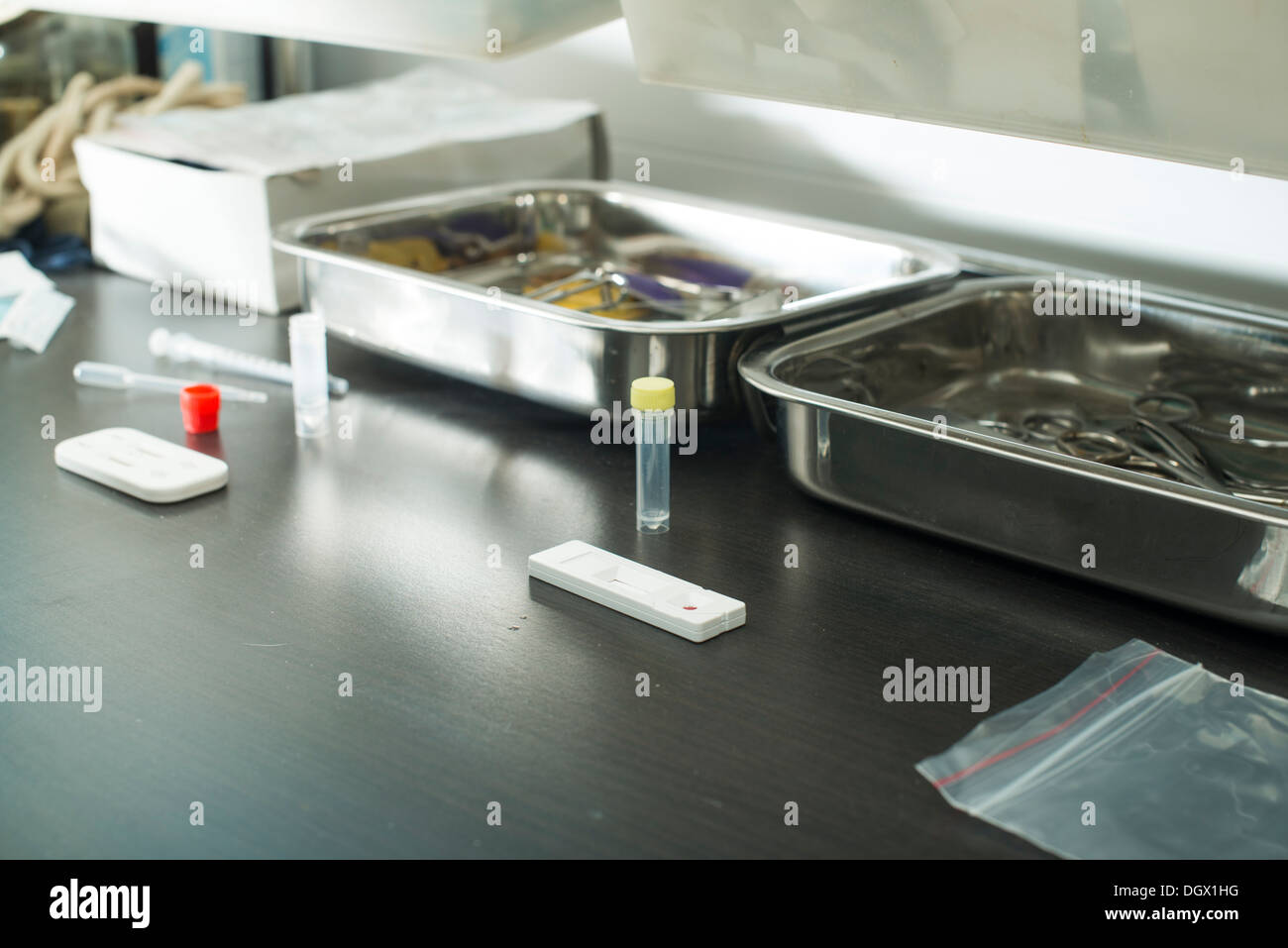 Veterinary Blood test in veterinary laboratory Stock Photo Alamy