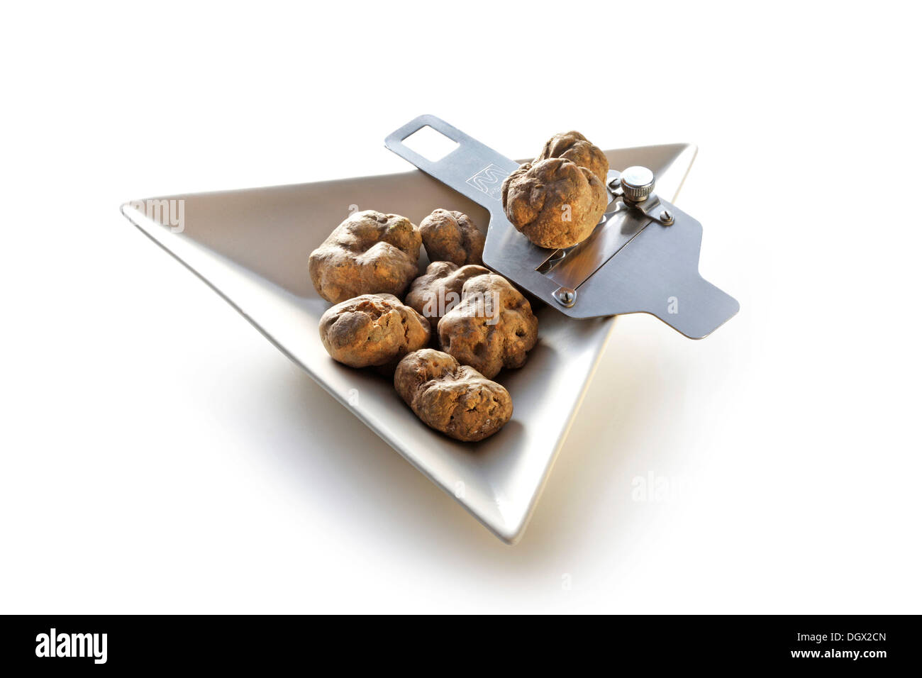 White Alba truffles in a porcelain dish with a truffle slicer, Germany Stock Photo