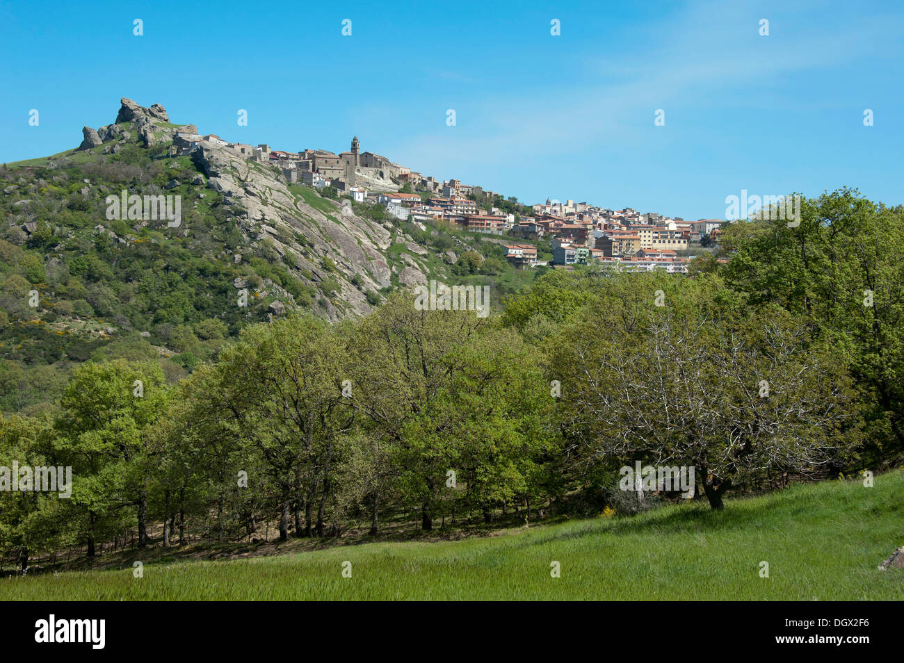 Cerami hi-res stock photography and images - Alamy