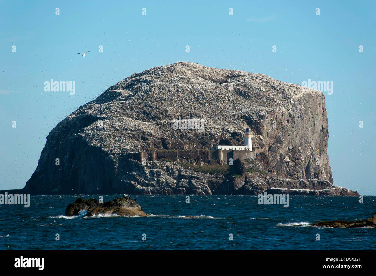 Bass Rock or The Bass, bird island, North Berwick, East Lothian, Scotland, United Kingdom Stock Photo