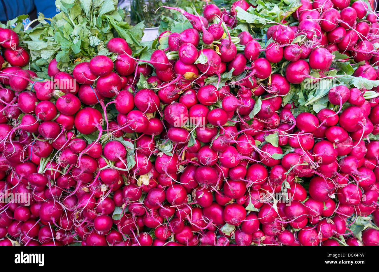 radishes in a farmers market Stock Photo