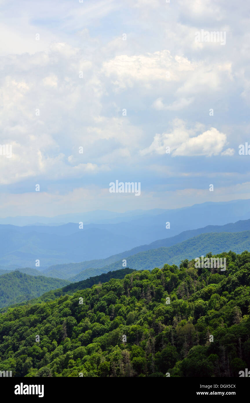 Great Smoky Mountains National Park, Tennessee, USA Stock Photo - Alamy
