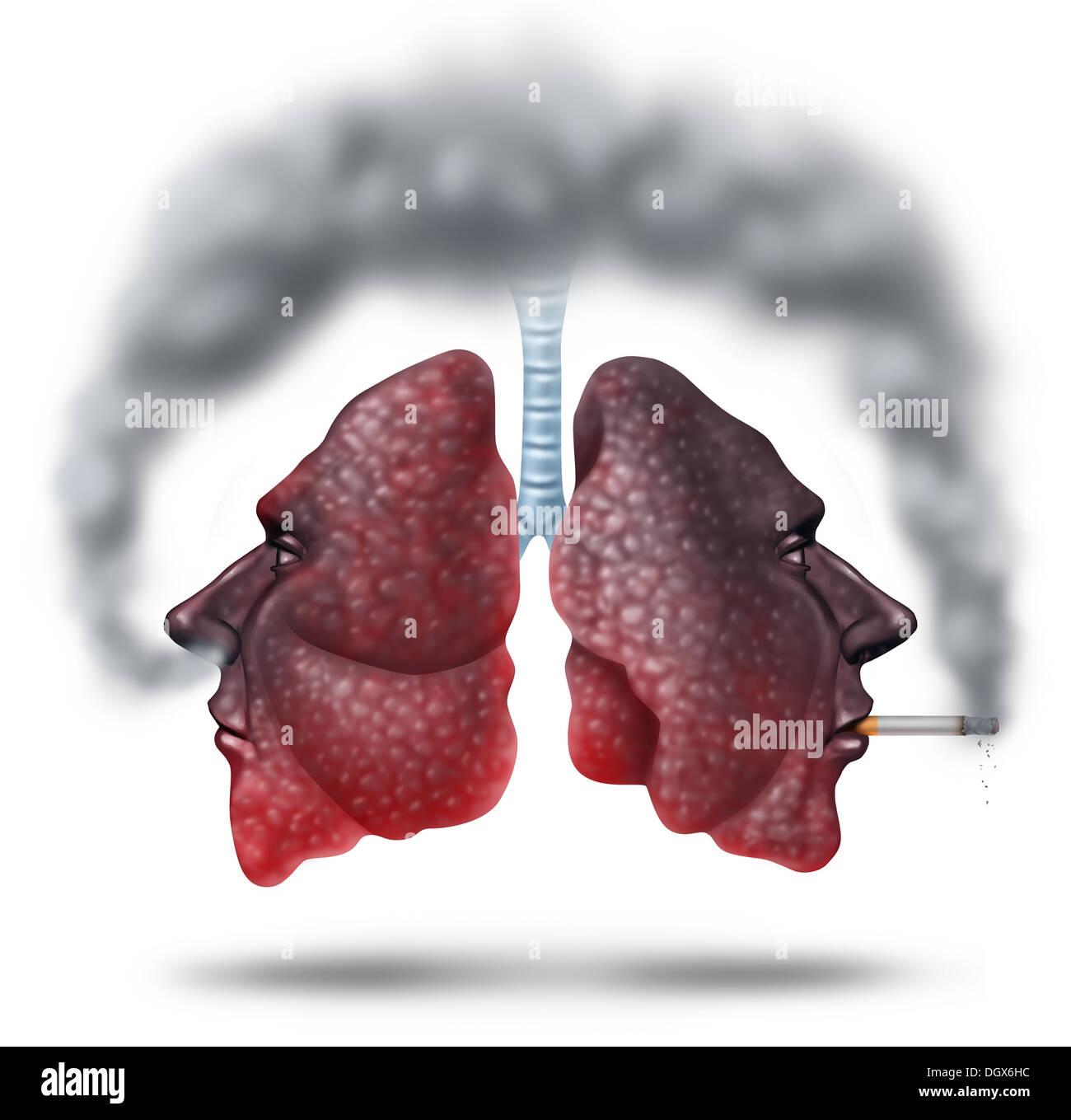 Second hand smoke health care concept for cigarette smoking risks with human lungs in the shape of a head with one smoker and another innocent victim lung breathing the toxic fumes turning the organ black. Stock Photo