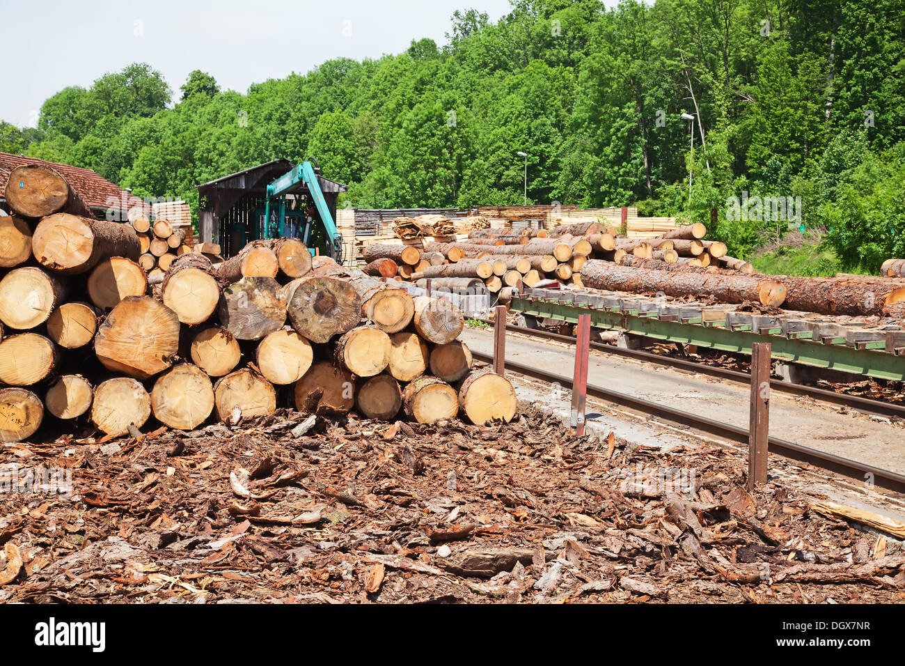 Machines and wood at the lumber yard Stock Photo Alamy