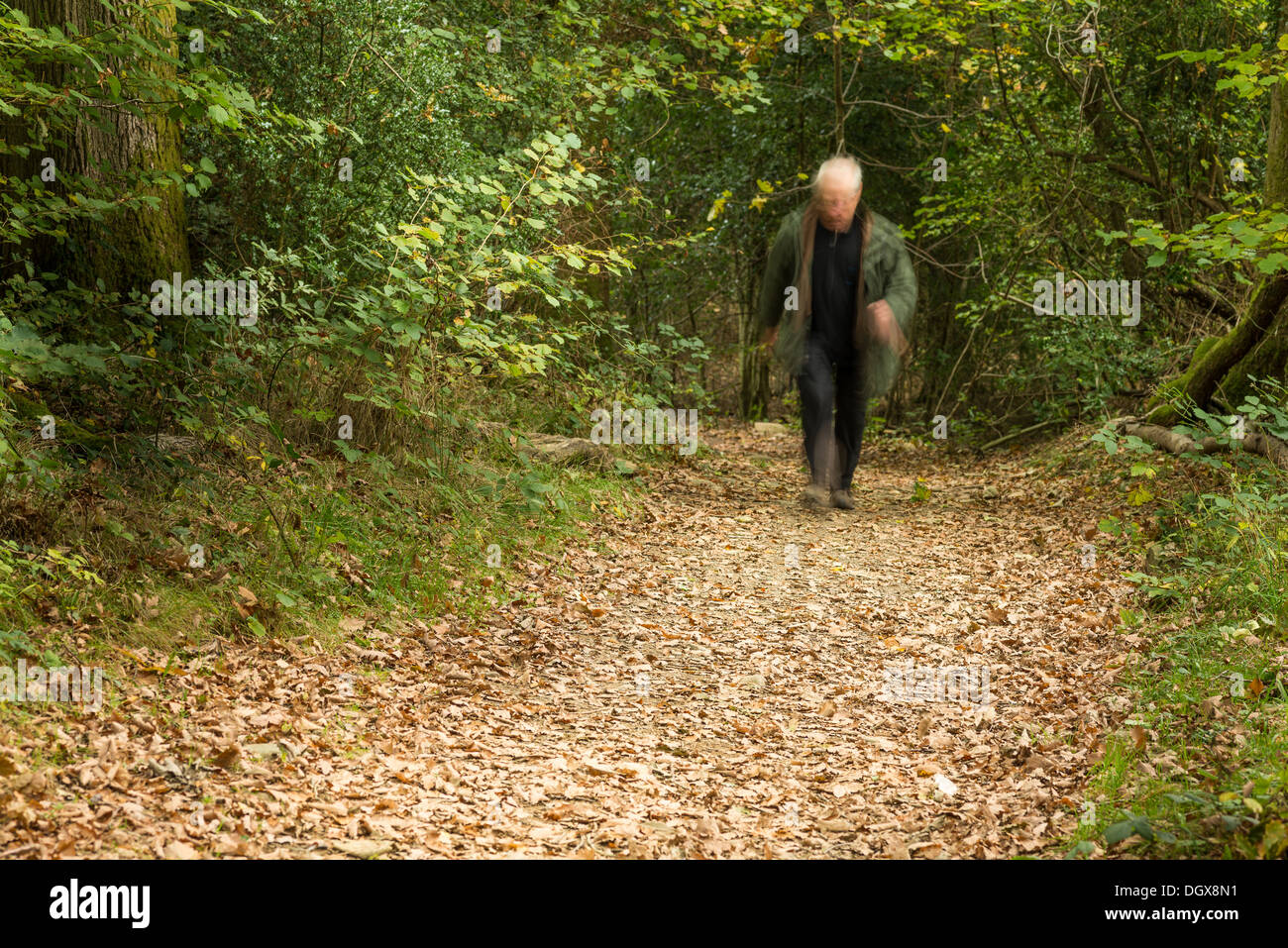White or silver haired senior citizen in a hurry along a woodland path. Stock Photo