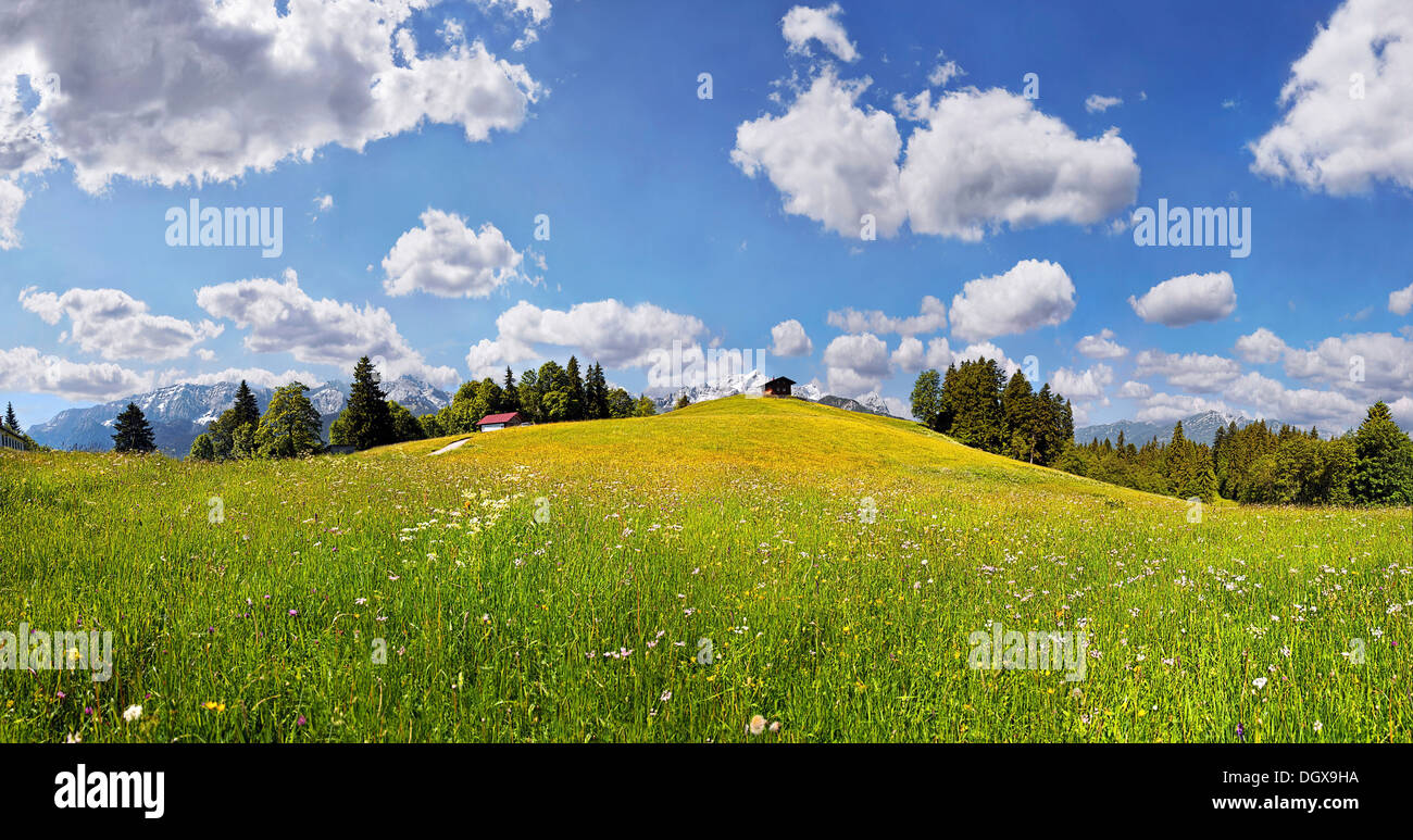 Green meadow on Eckbauer Mountain, Eckbauer, Garmisch-Partenkirchen, Upper Bavaria, Bavaria, Germany Stock Photo