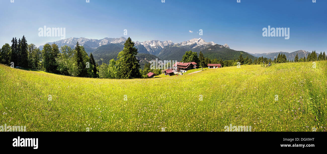 Green meadow on Eckbauer Mountain, Eckbauer, Garmisch-Partenkirchen, Upper Bavaria, Bavaria, Germany Stock Photo