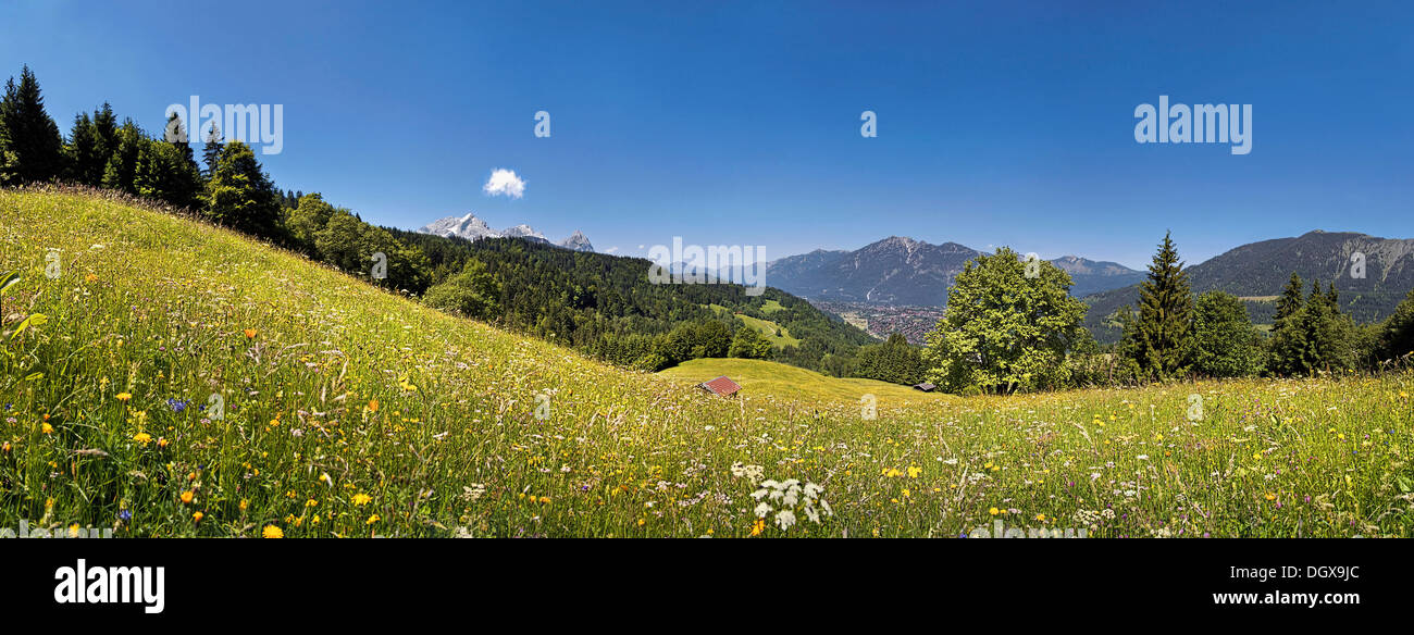 Green meadow on Eckbauer Mountain, Eckbauer, Garmisch-Partenkirchen, Upper Bavaria, Bavaria, Germany Stock Photo