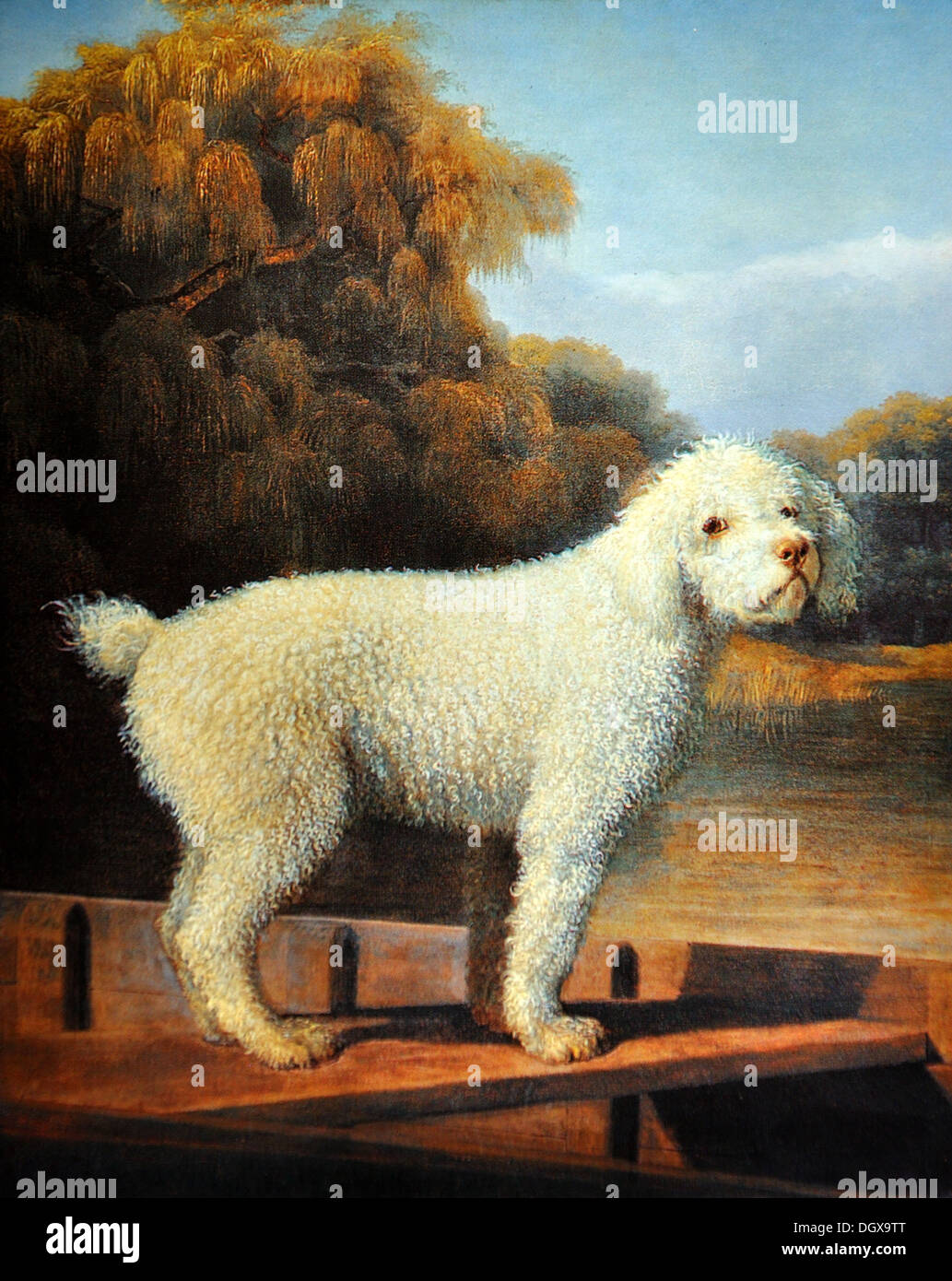 White Poodle In A Punt - by George Stubbs, 1780 Stock Photo