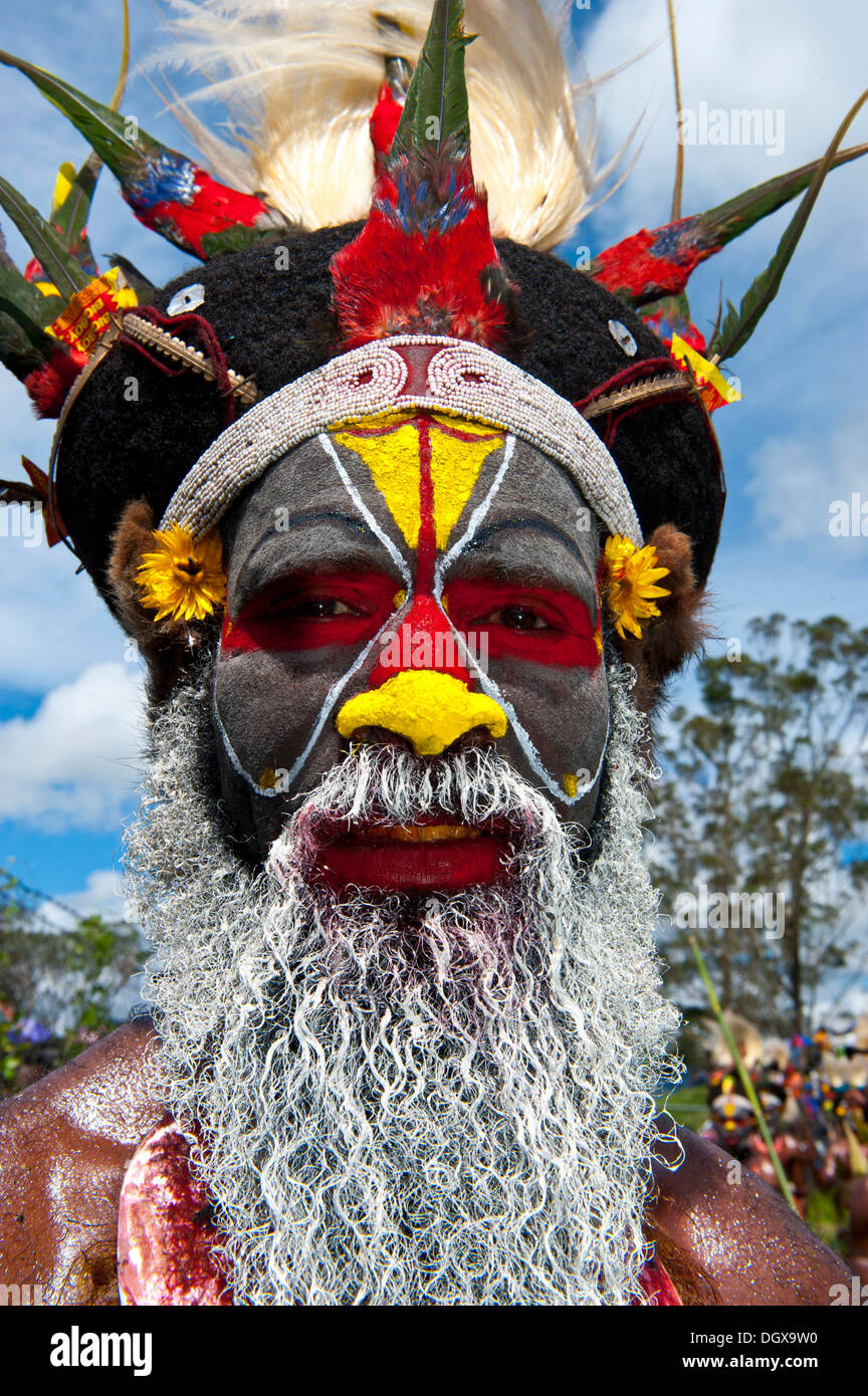 Man in a colourfully decorated costume with face paint at the traditional sing-sing gathering, Hochland, Mount Hagen Stock Photo