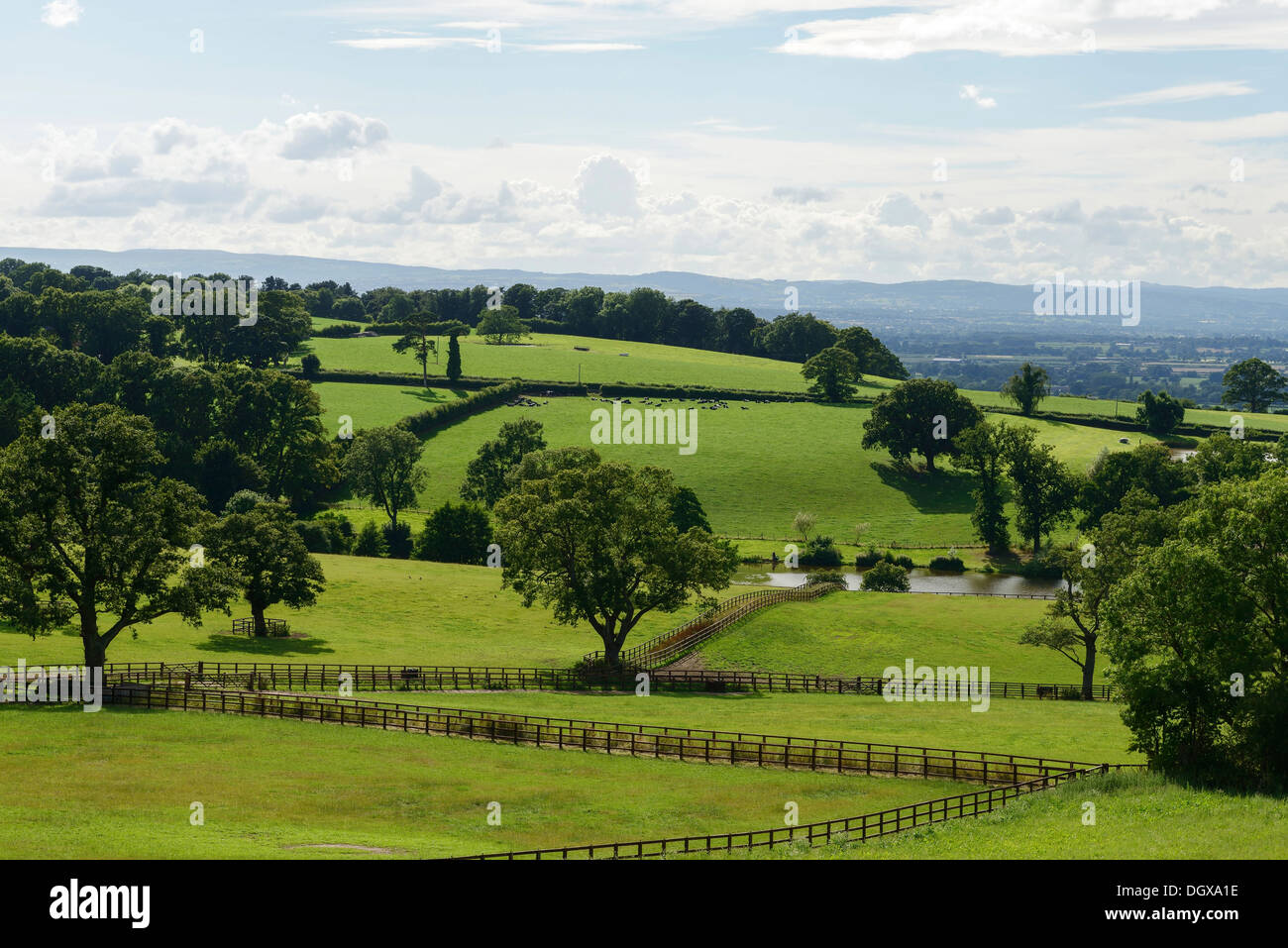 Cheshire rolling green fields and countryside UK Stock Photo