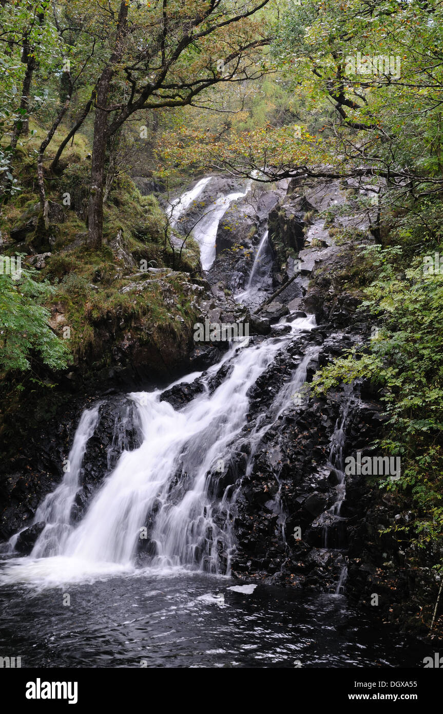 Rhaeadr Ddu waterfall Coed Ganllwyd National Nature Reserve Coed y Brenin Forest Snowfonia Wales Cymru uK GB Stock Photo