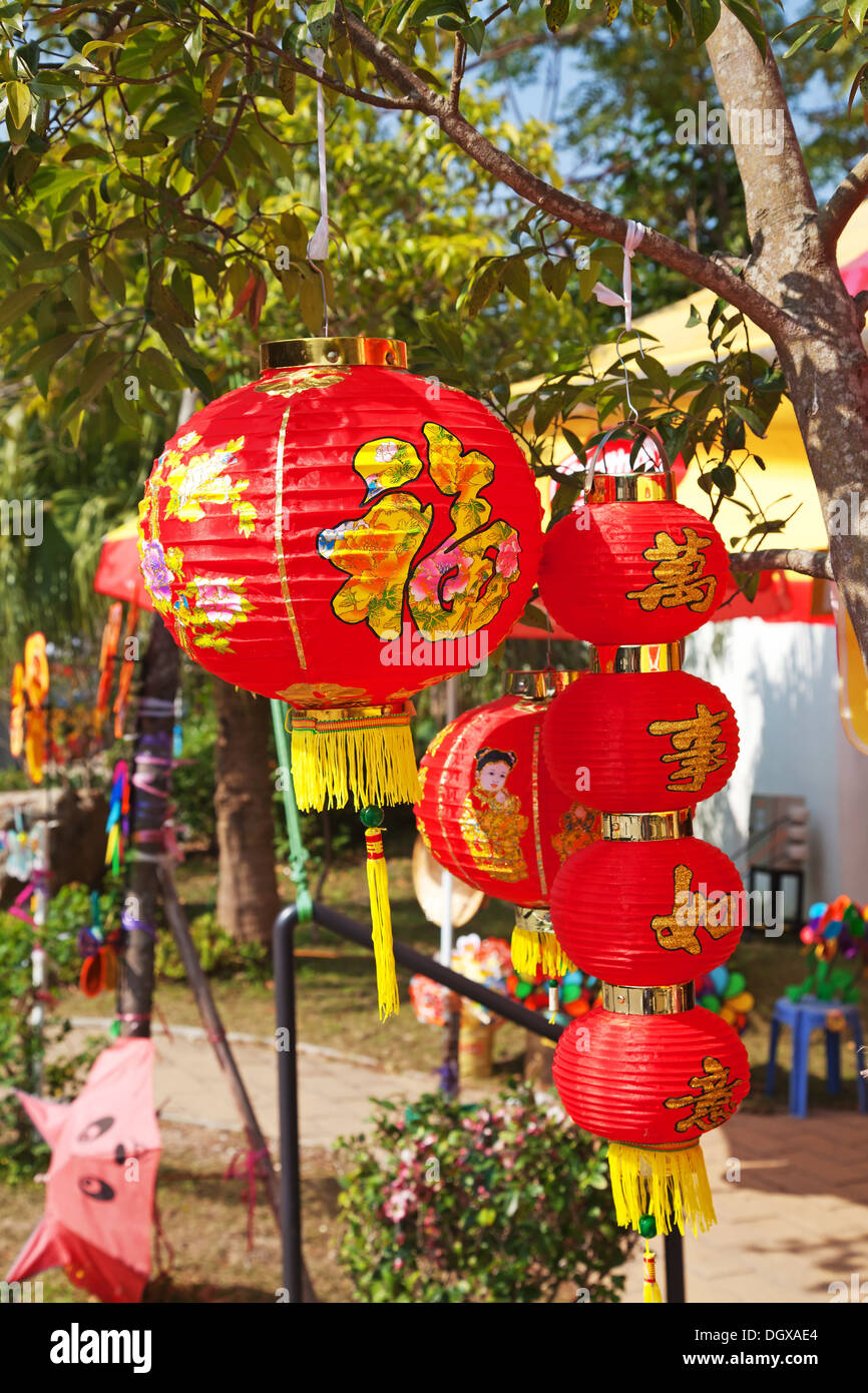 Traditional chinese paper lantern in the garden Stock Photo Alamy