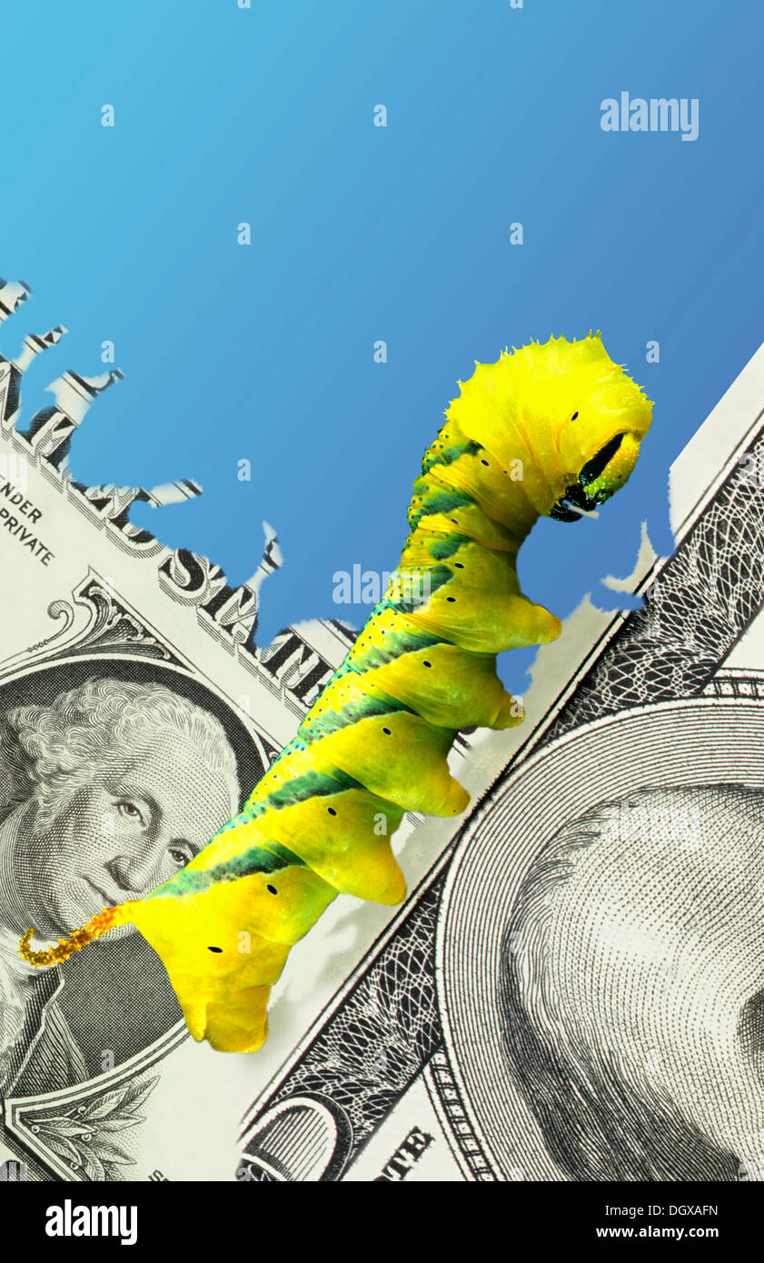 Caterpillar eating money Stock Photo