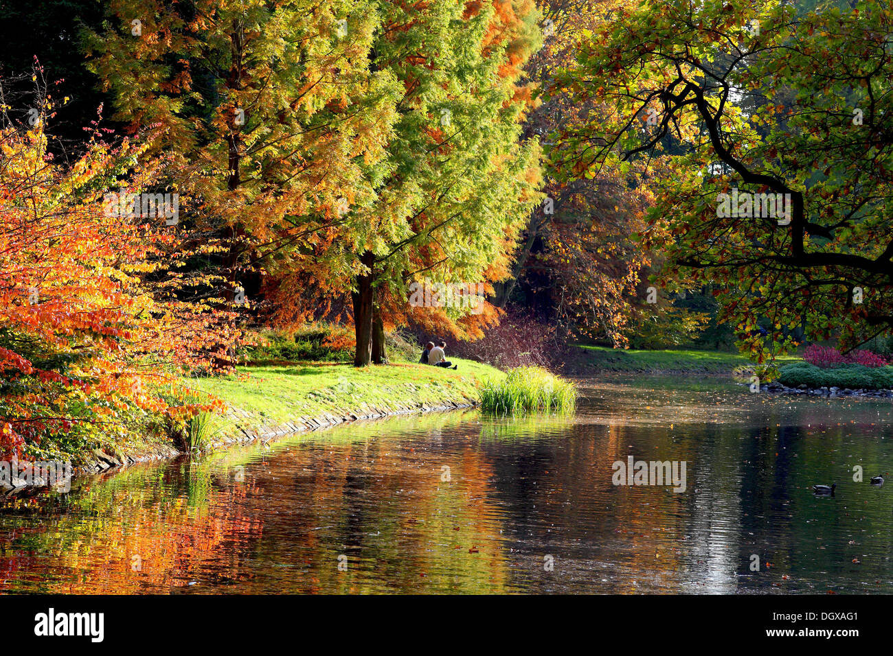 Red yellow and green autumn trees reflecting in quiet water Stock Photo ...