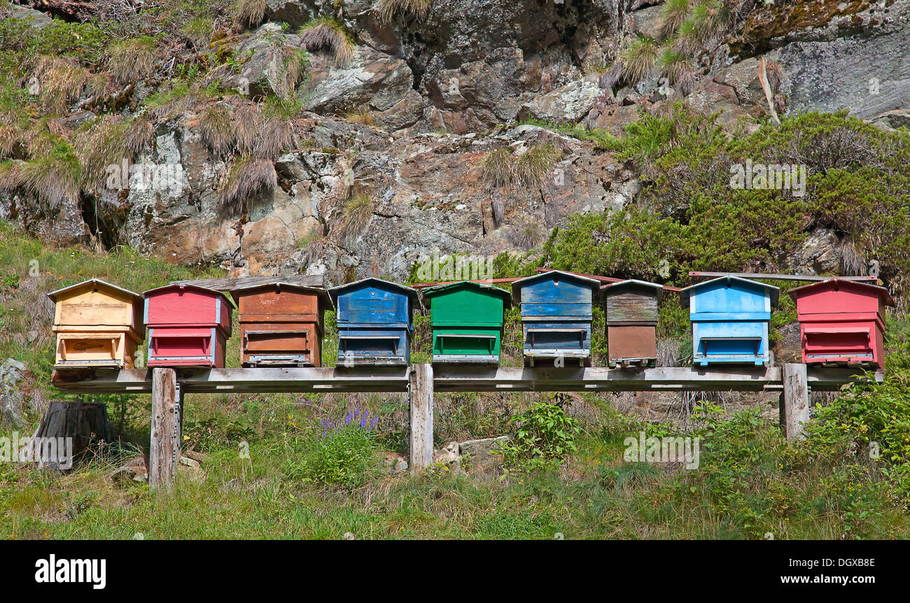 Small apiary in the swiss alps Stock Photo