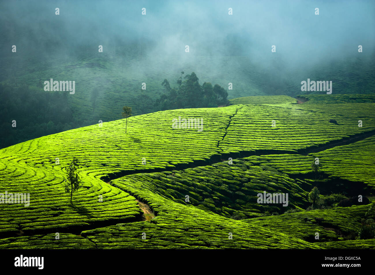 Kerala background hi-res stock photography and images - Alamy