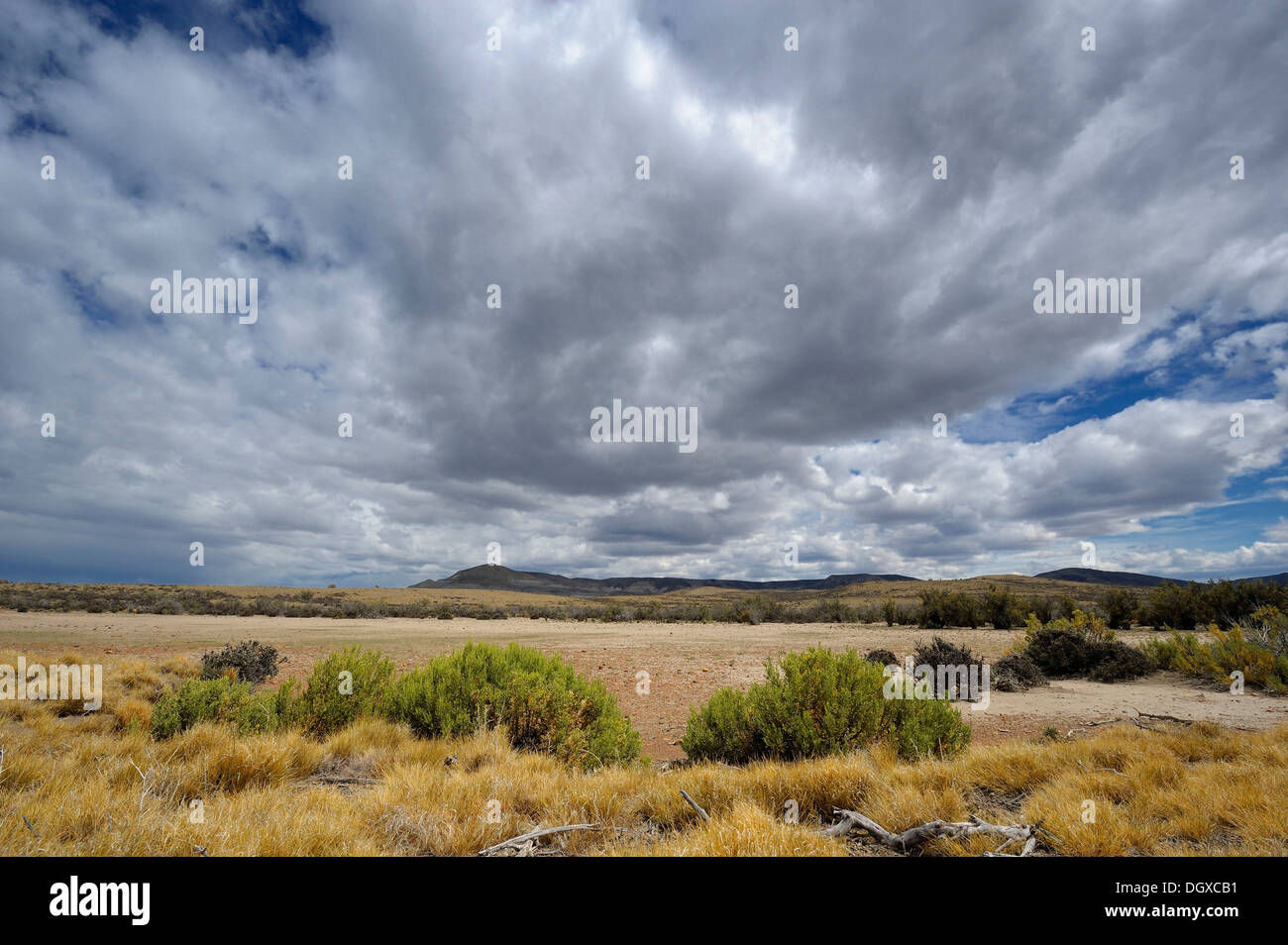 Steppe landscape, Monte Leon National Park, Rio Gallegos, Patagonia, Argentina, South America Stock Photo