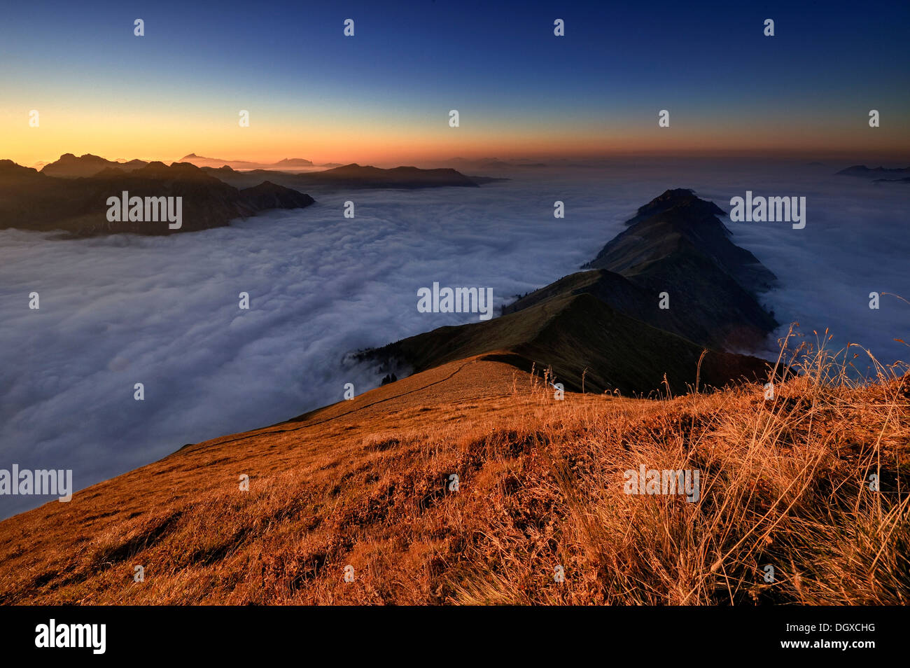 Look from above light fog hi-res stock photography and images - Alamy