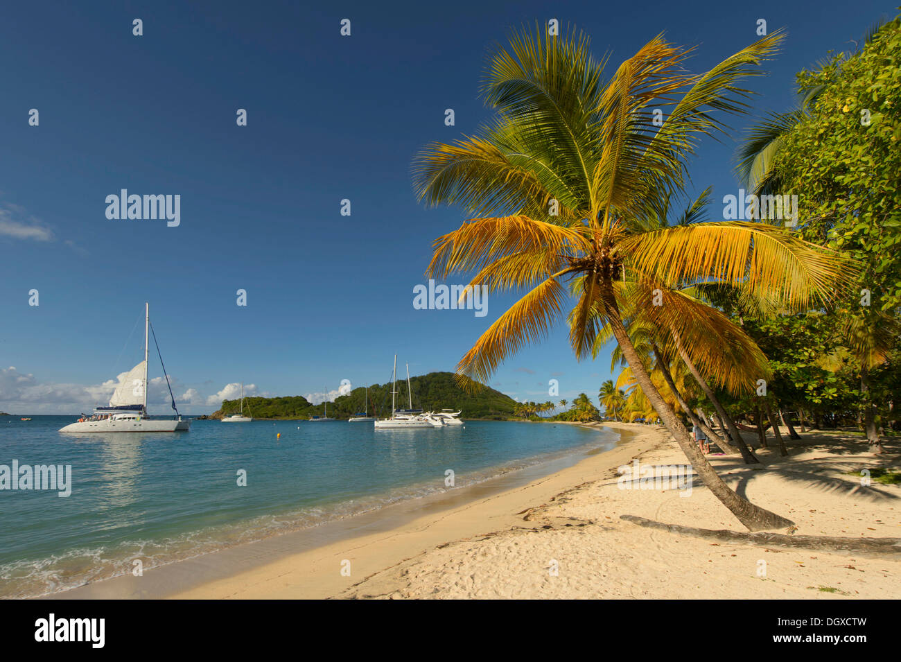 Caribbean Bay with palm trees and boats, Grenadines, Karibik, Saint Lucia Stock Photo