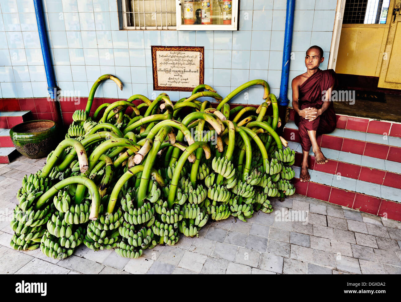 Monk sitting next to a many bunches of bananas in a monastery in Yangon, Myanmar, Burma, Southeast Asia, Asia Stock Photo