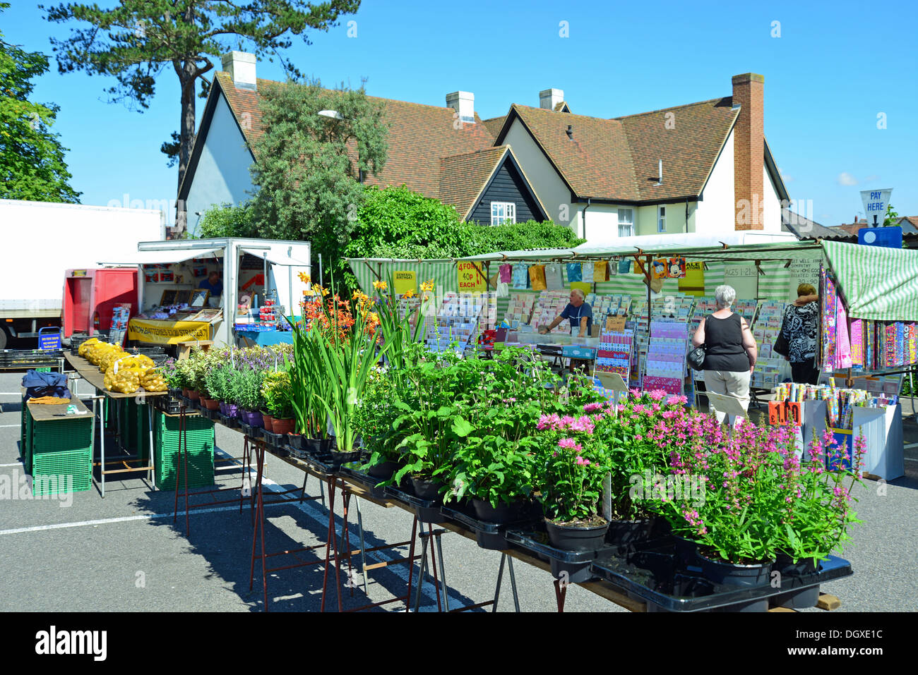 Plants for sale at outdoor market, Great Dunmow, Essex, England, United