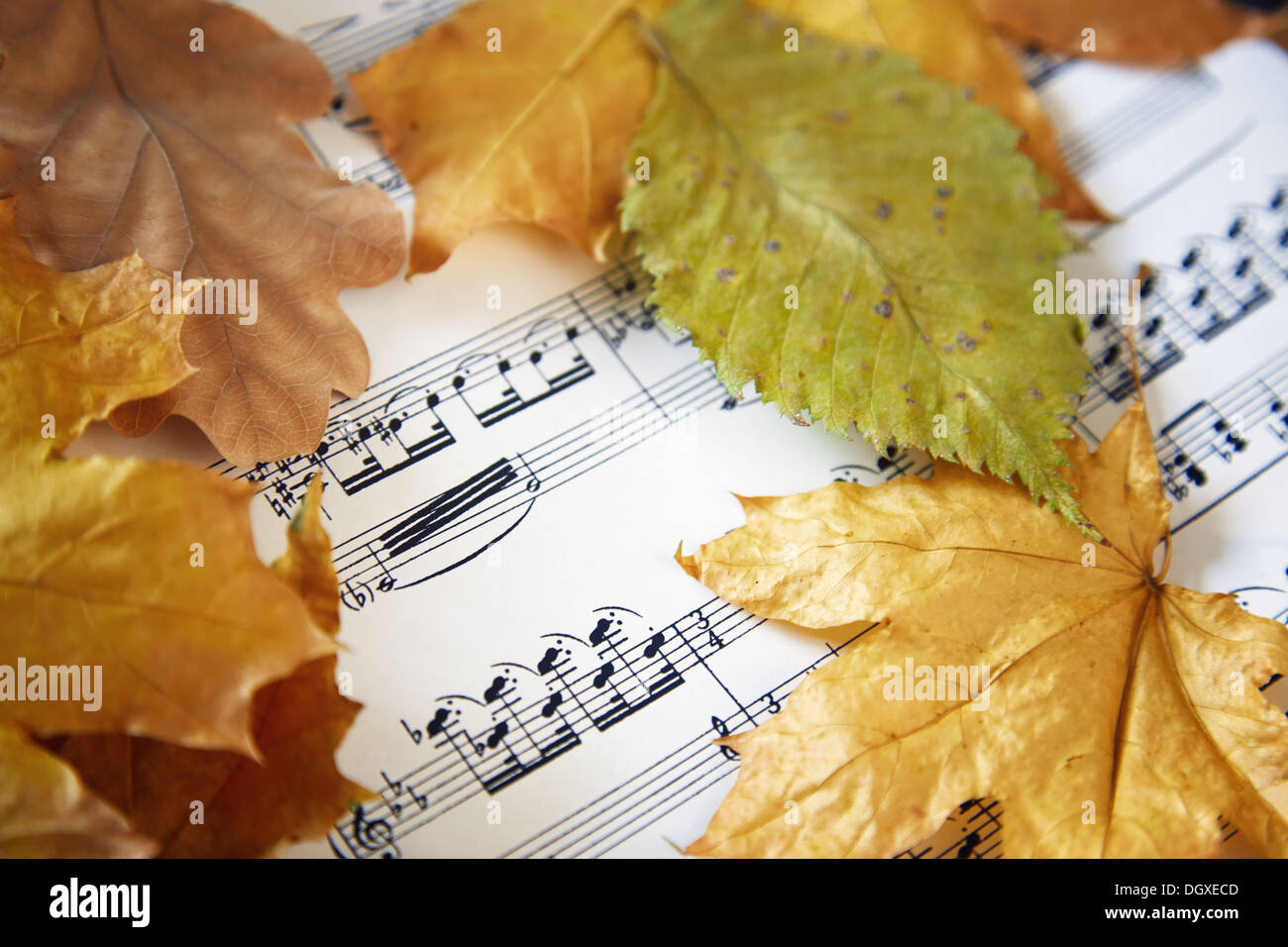 Autumn Leaves Music High Resolution Stock Photography and Images - Alamy
