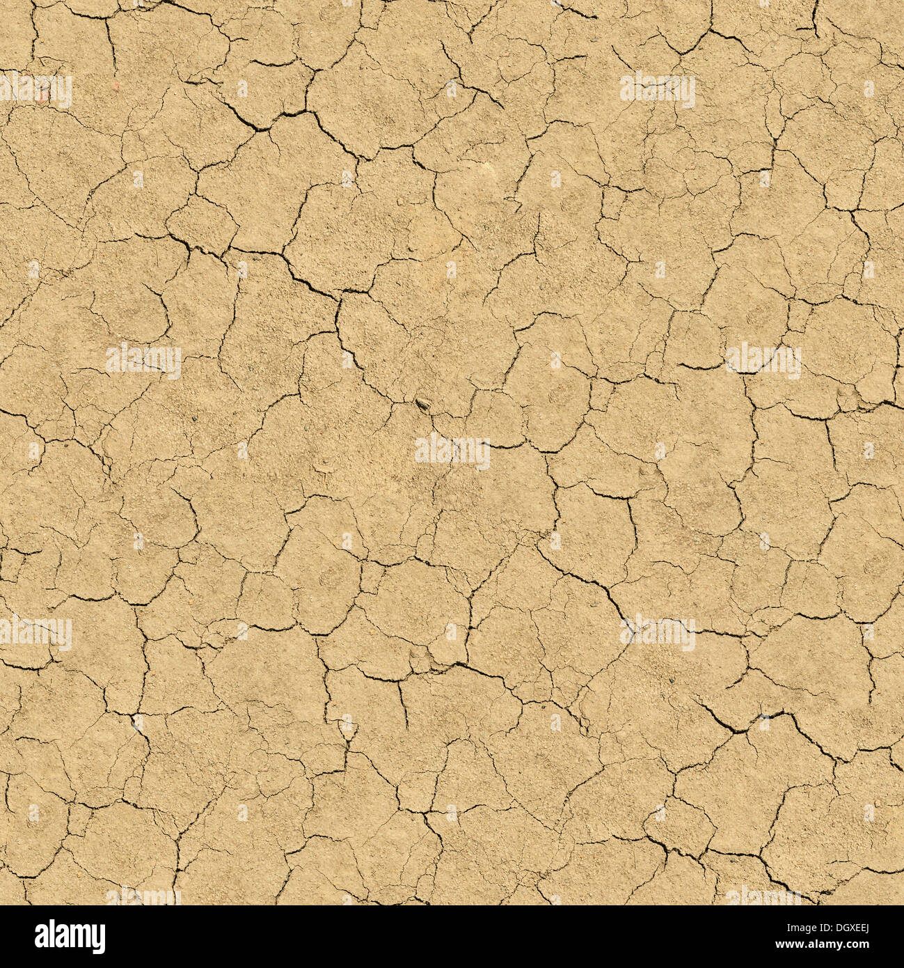 Cracked Desert Texture Seamless