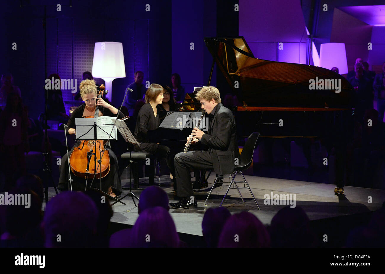 Classical Musicians High Resolution Stock Photography and Images Alamy