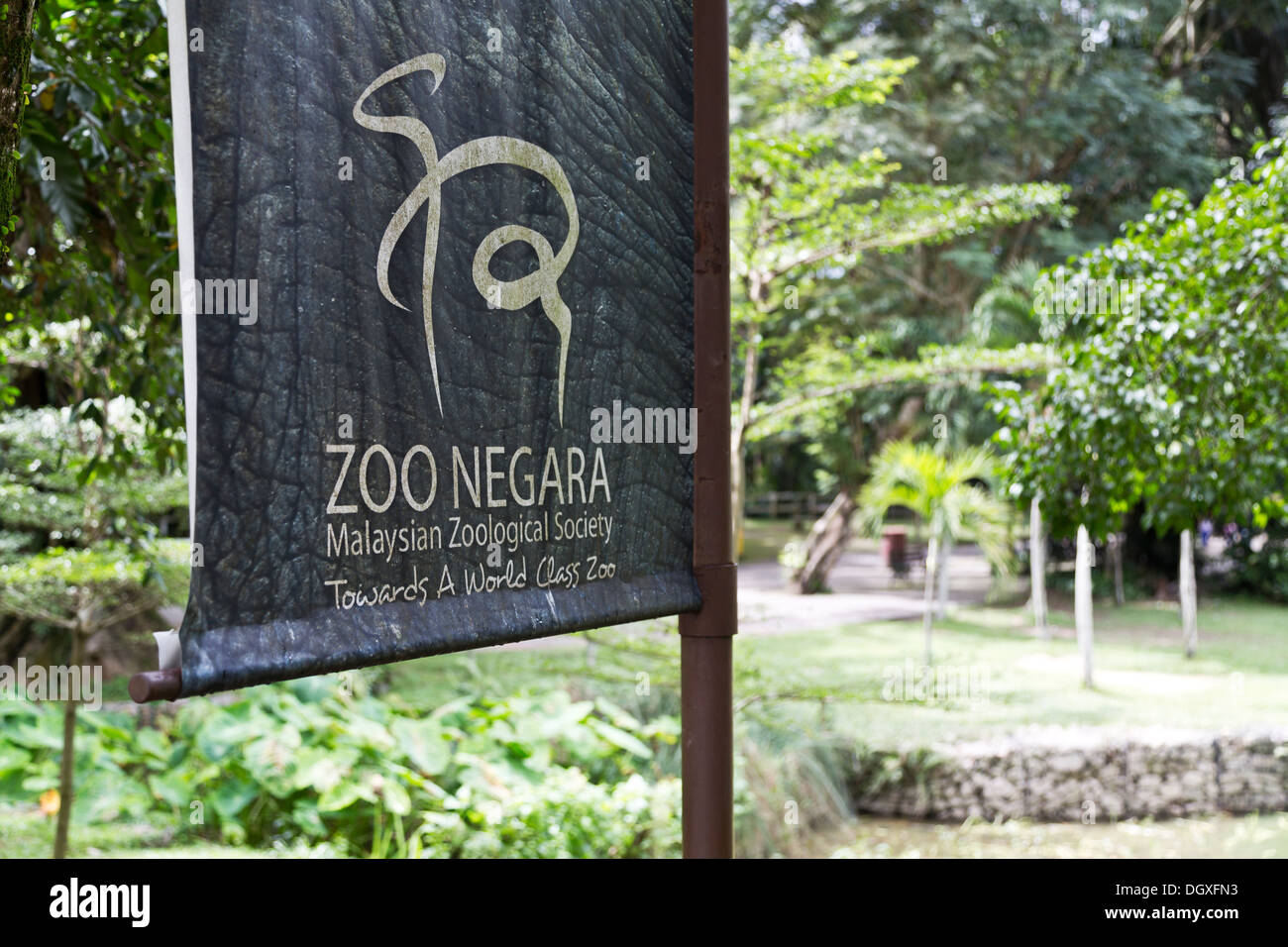 Malaysian Zoological Society High Resolution Stock Photography And Images Alamy