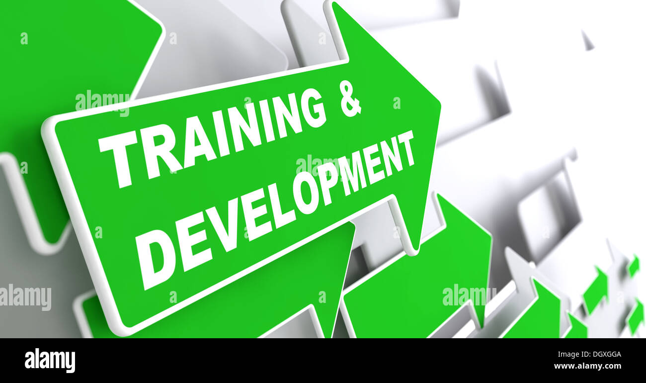 Training and Development. Education Concept. Stock Photo