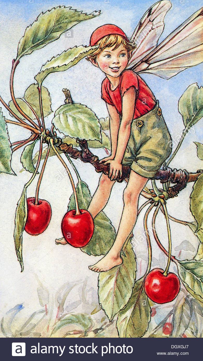 flower fairies of the spring cicely mary barker flower fairies of the spring cicely mary barker