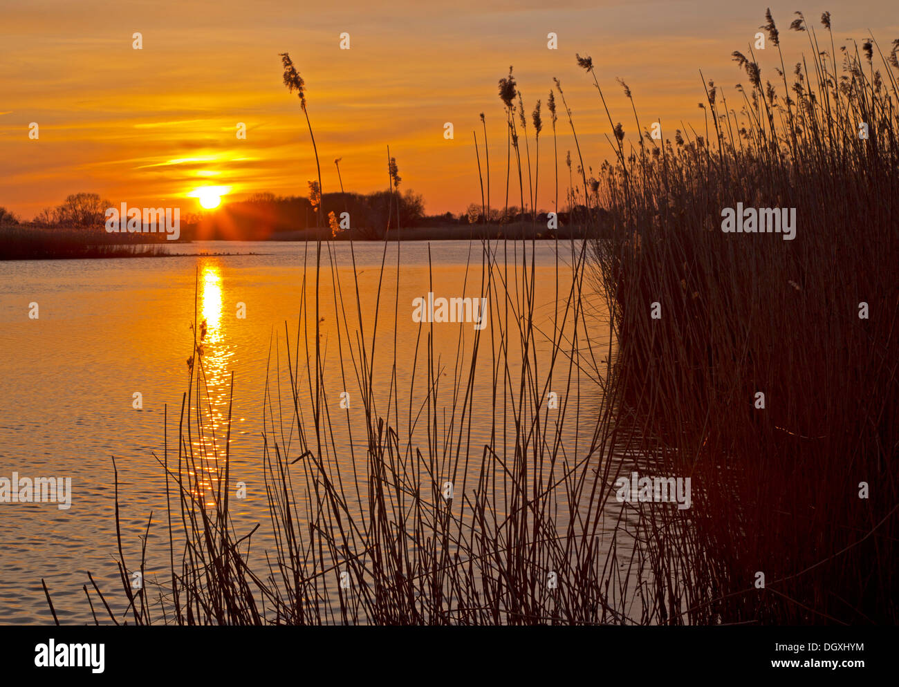 Sunset at Elbe, Germany, Europe Stock Photo