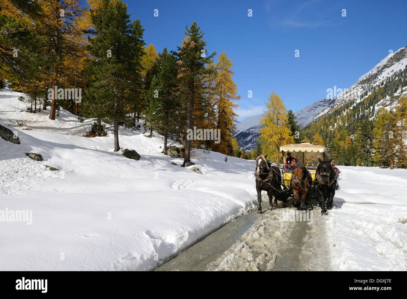 Switzerland winter horse carriage hi-res stock photography and images ...
