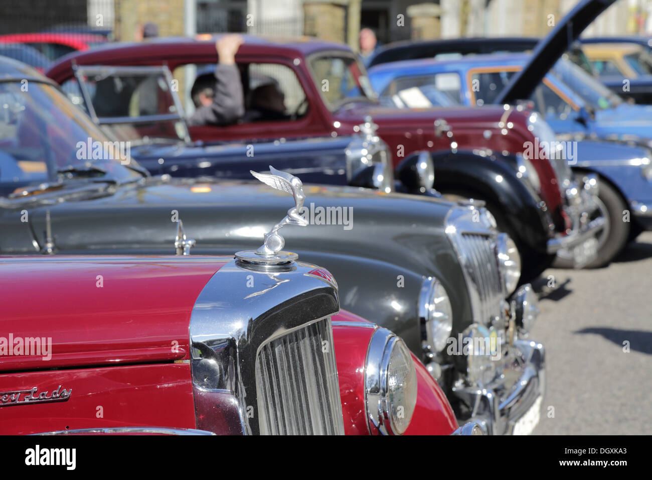 Classic Cars; Trevithick Day; Camborne; Cornwall Stock Photo