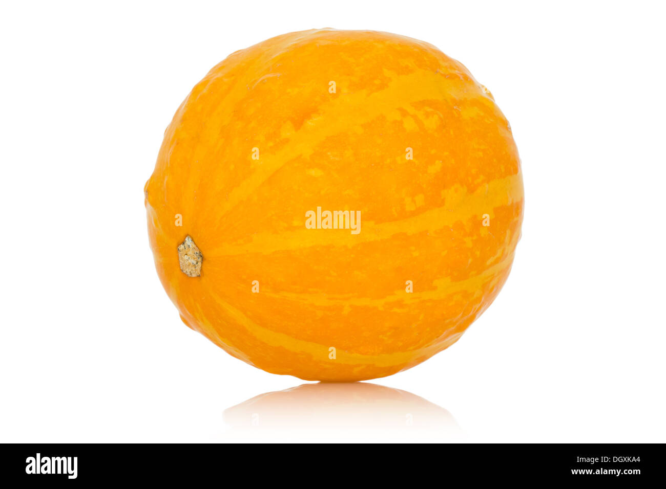 Big yellow pumpkin on a white background Stock Photo - Alamy