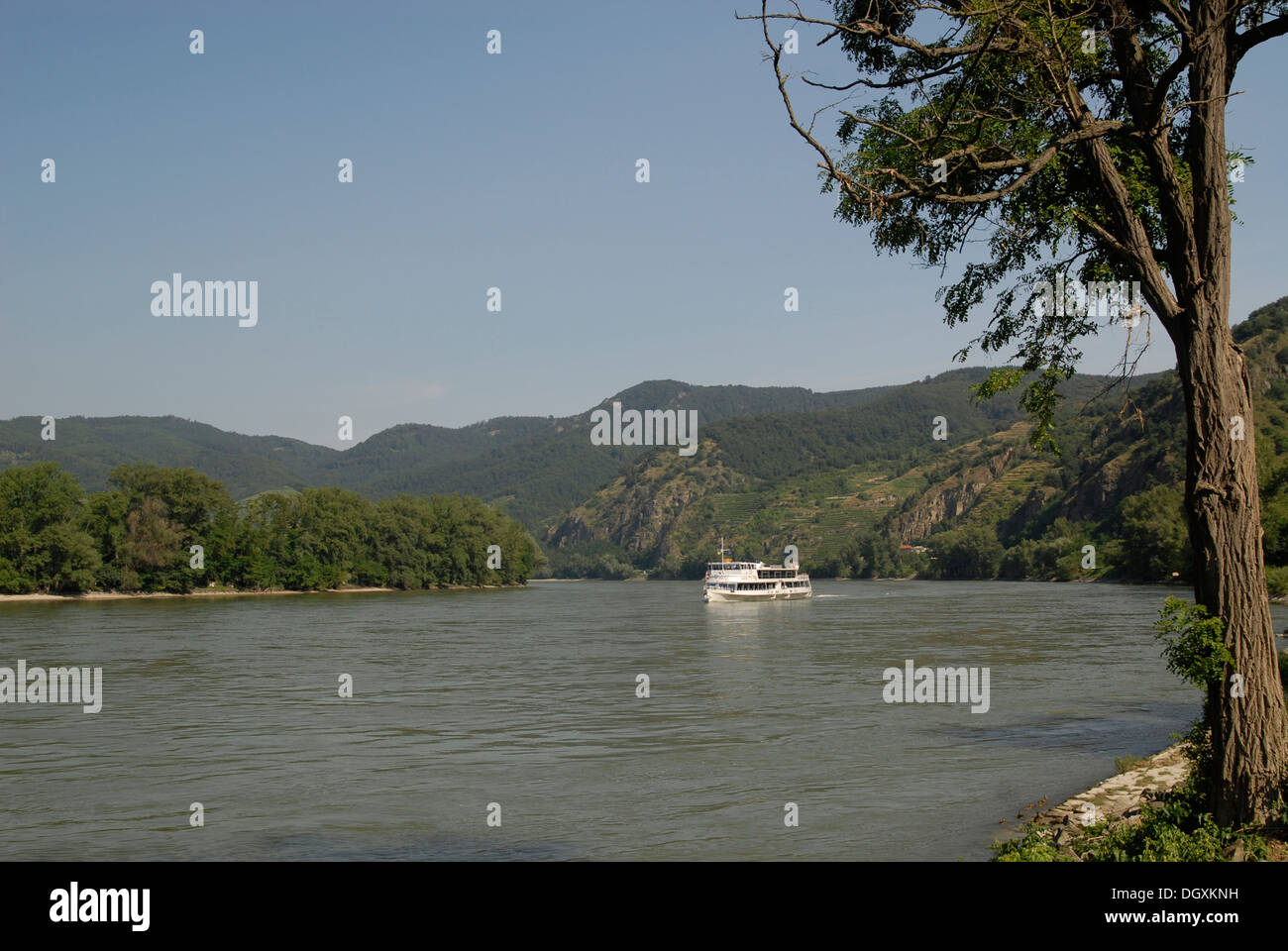 River Donau near Krems, Wachau, Lower Austria, Austria Stock Photo