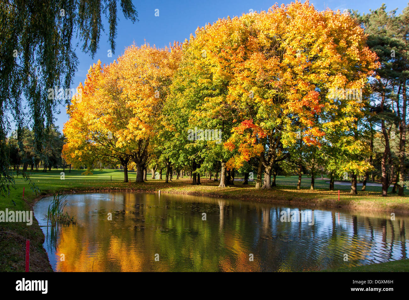 Orange colors hi-res stock photography and images - Alamy