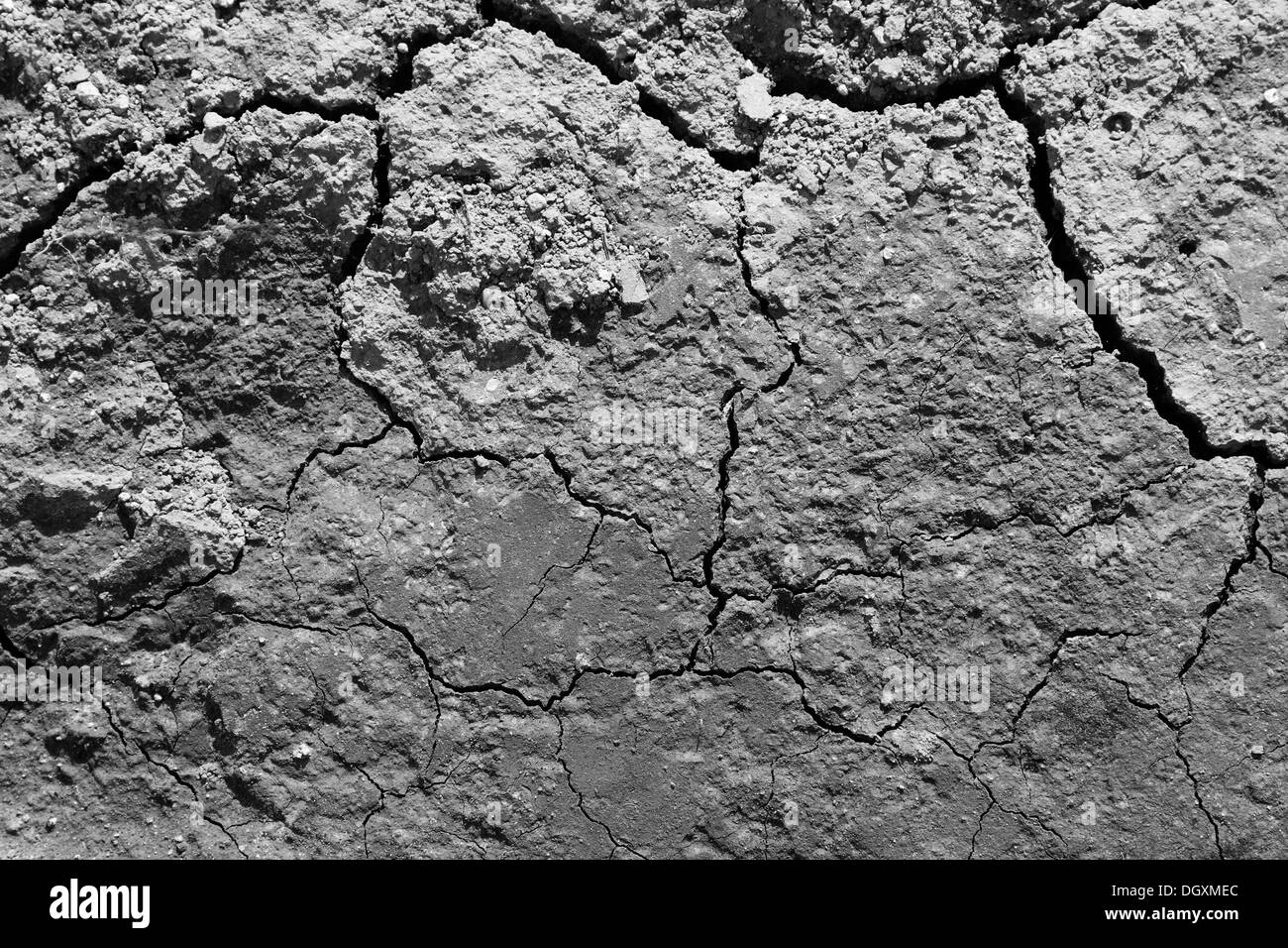 Lines in cracked earth Stock Photo