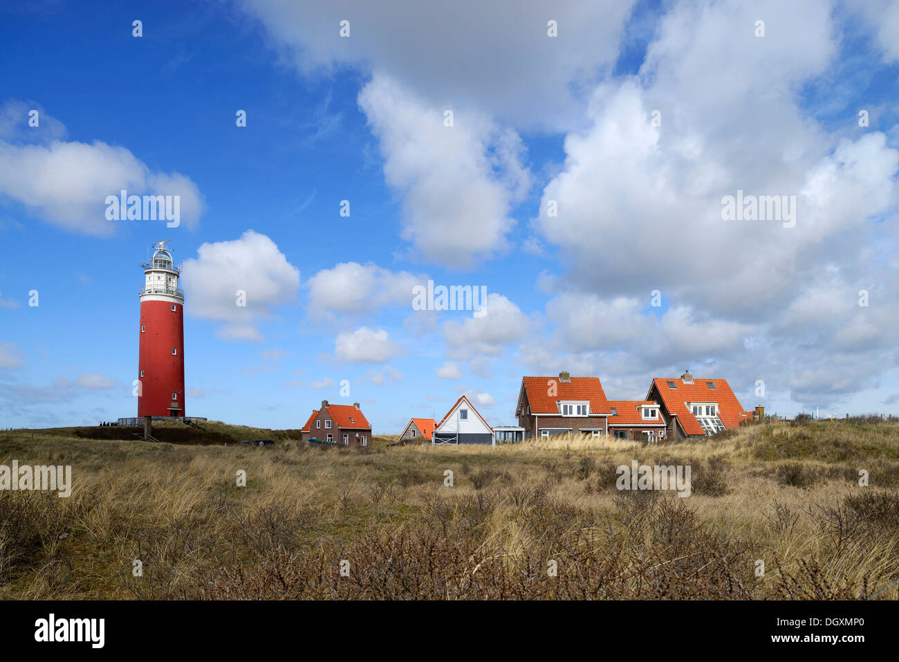 Eierland Lighthouse, De Cocksdorp, Texel, West Frisian Islands, province of North Holland, The Netherlands Stock Photo
